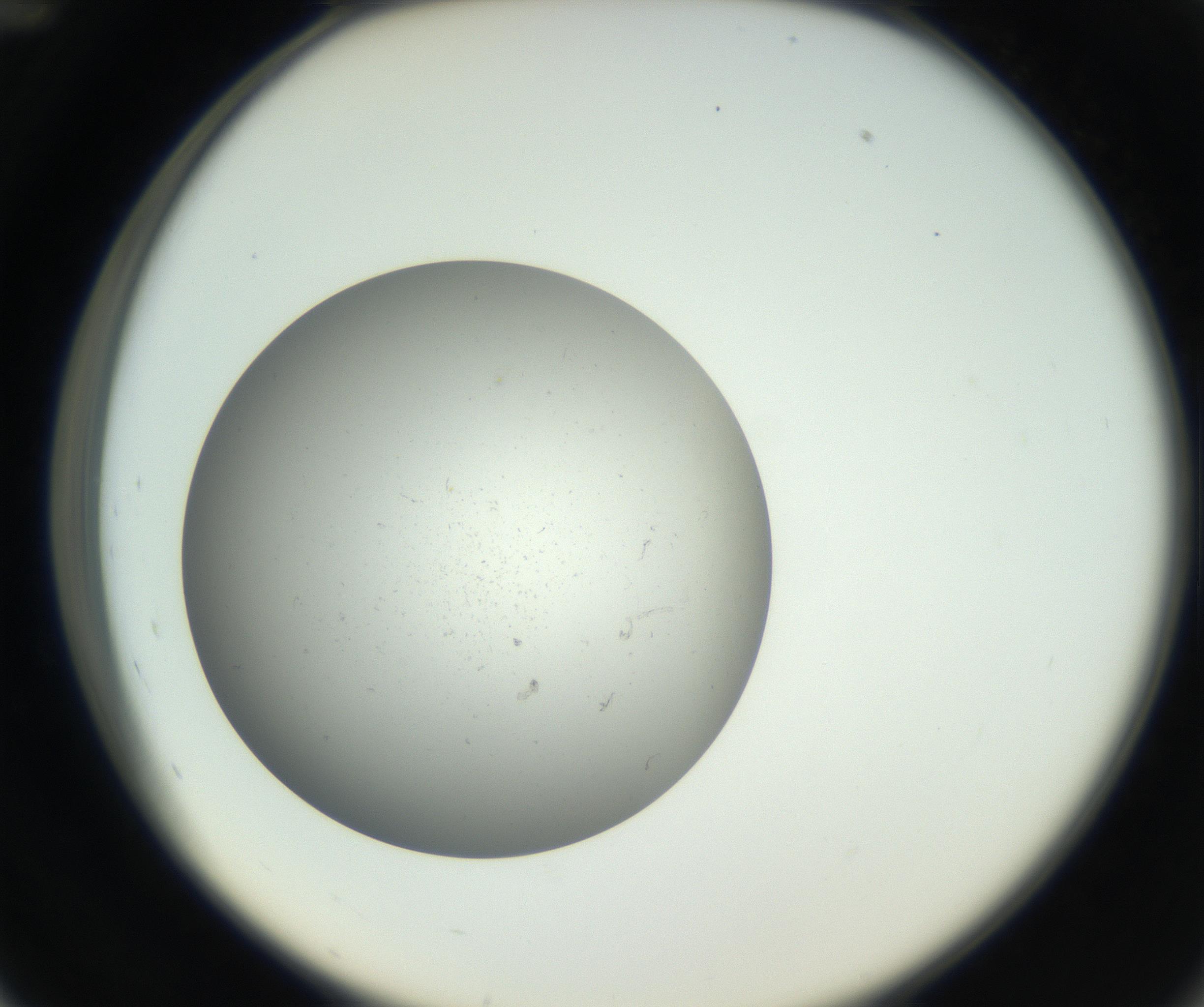 RI01_03_000_0212_Proj1_Clon1_MC_0000MC011202_010_160915_12_04_02_00_99_002_001_RAI.jpg