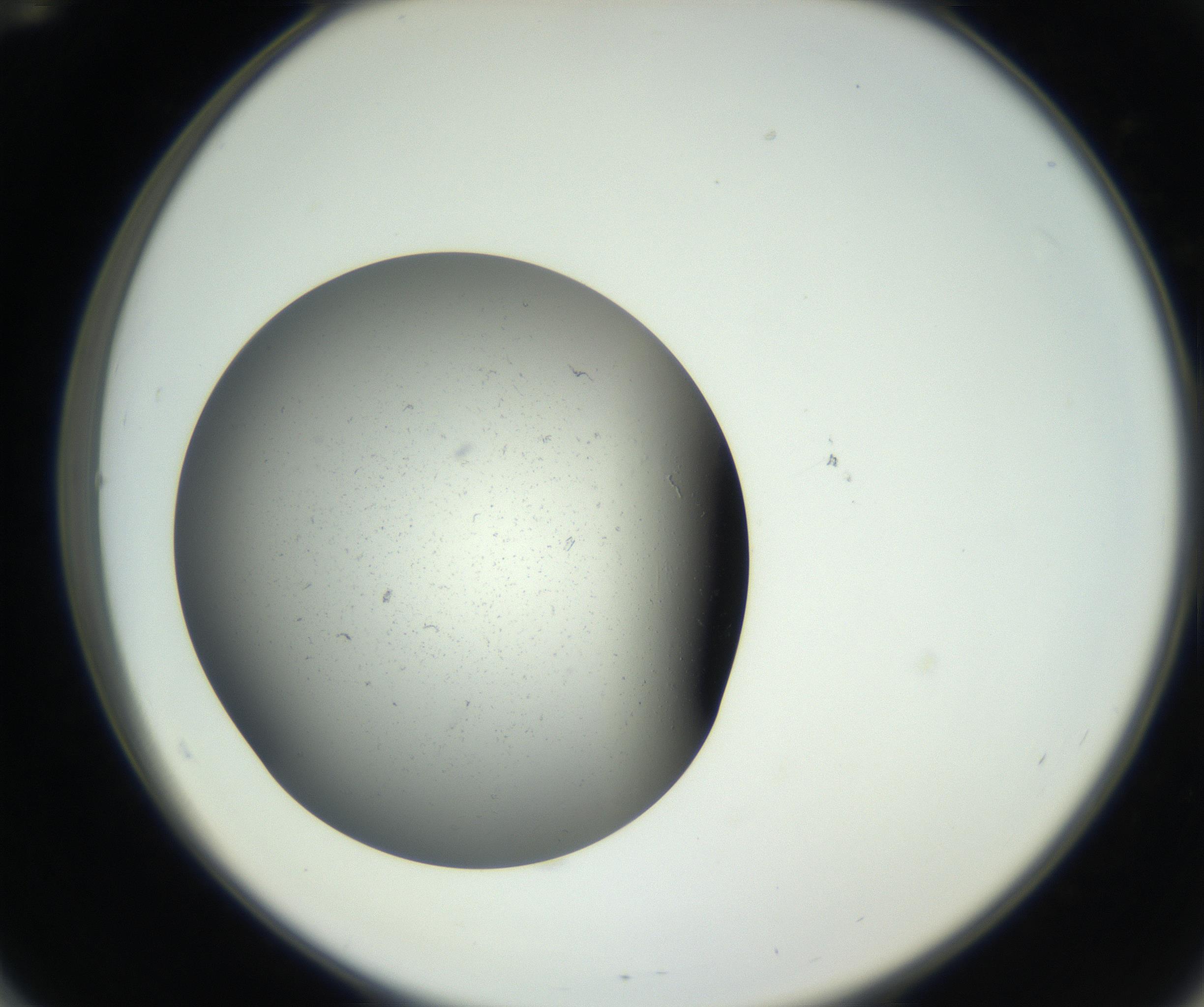 RI01_03_000_0212_Proj1_Clon1_MC_0000MC011202_010_160915_12_05_02_00_99_002_001_RAI.jpg