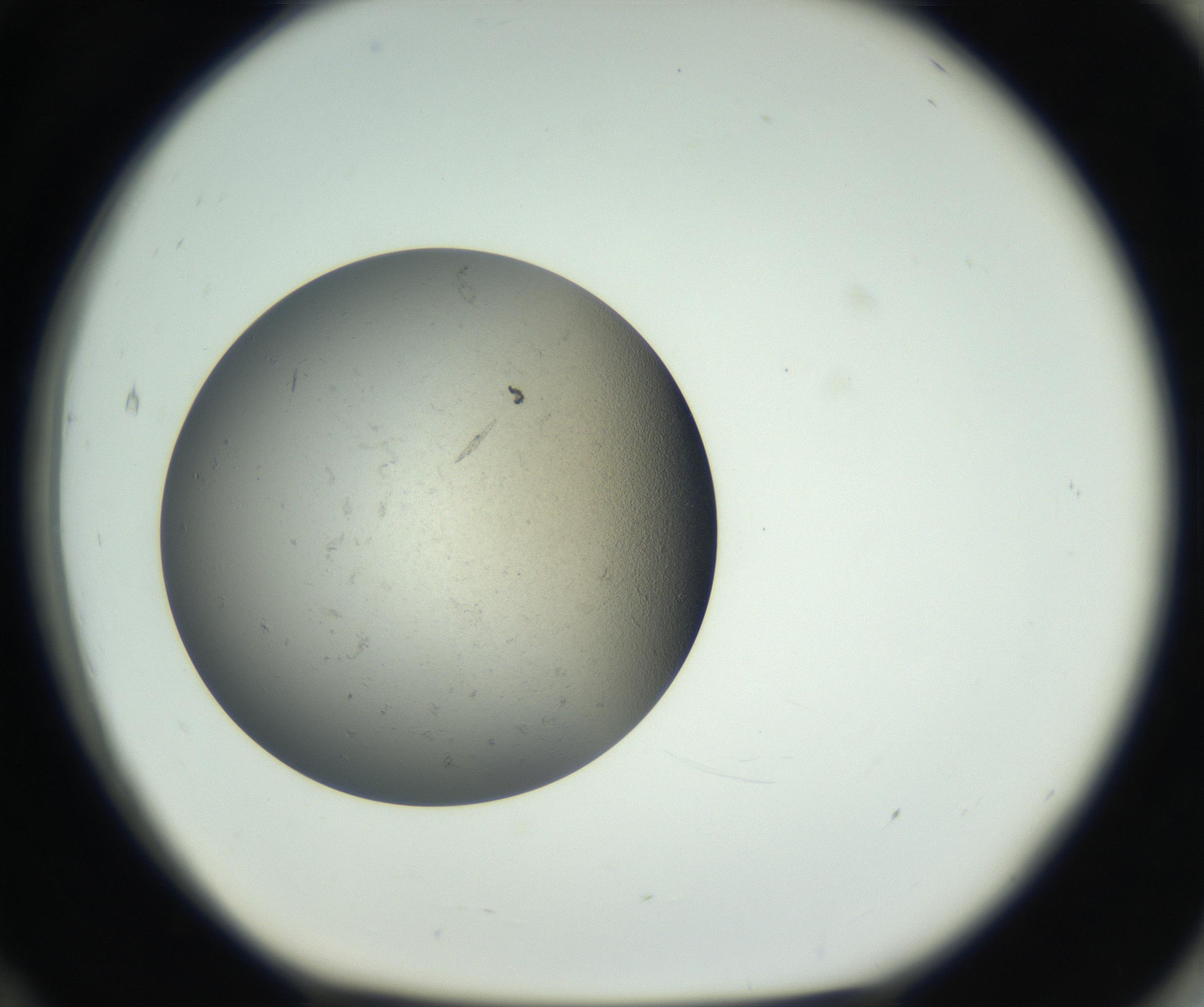 RI01_03_000_0212_Proj1_Clon1_MC_0000MC011202_010_160915_12_07_01_00_99_002_001_RAI.jpg