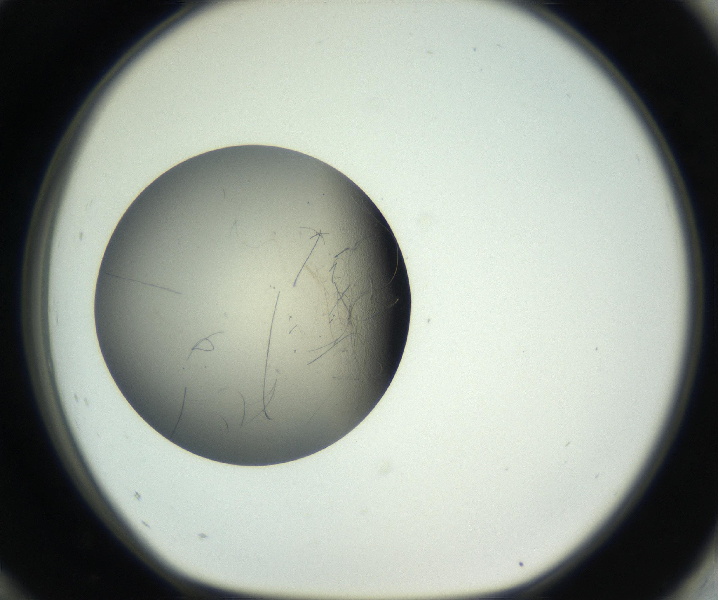 RI01_03_000_0212_Proj1_Clon1_MC_0000MC011202_010_160915_12_08_01_00_99_002_001_RAI.jpg