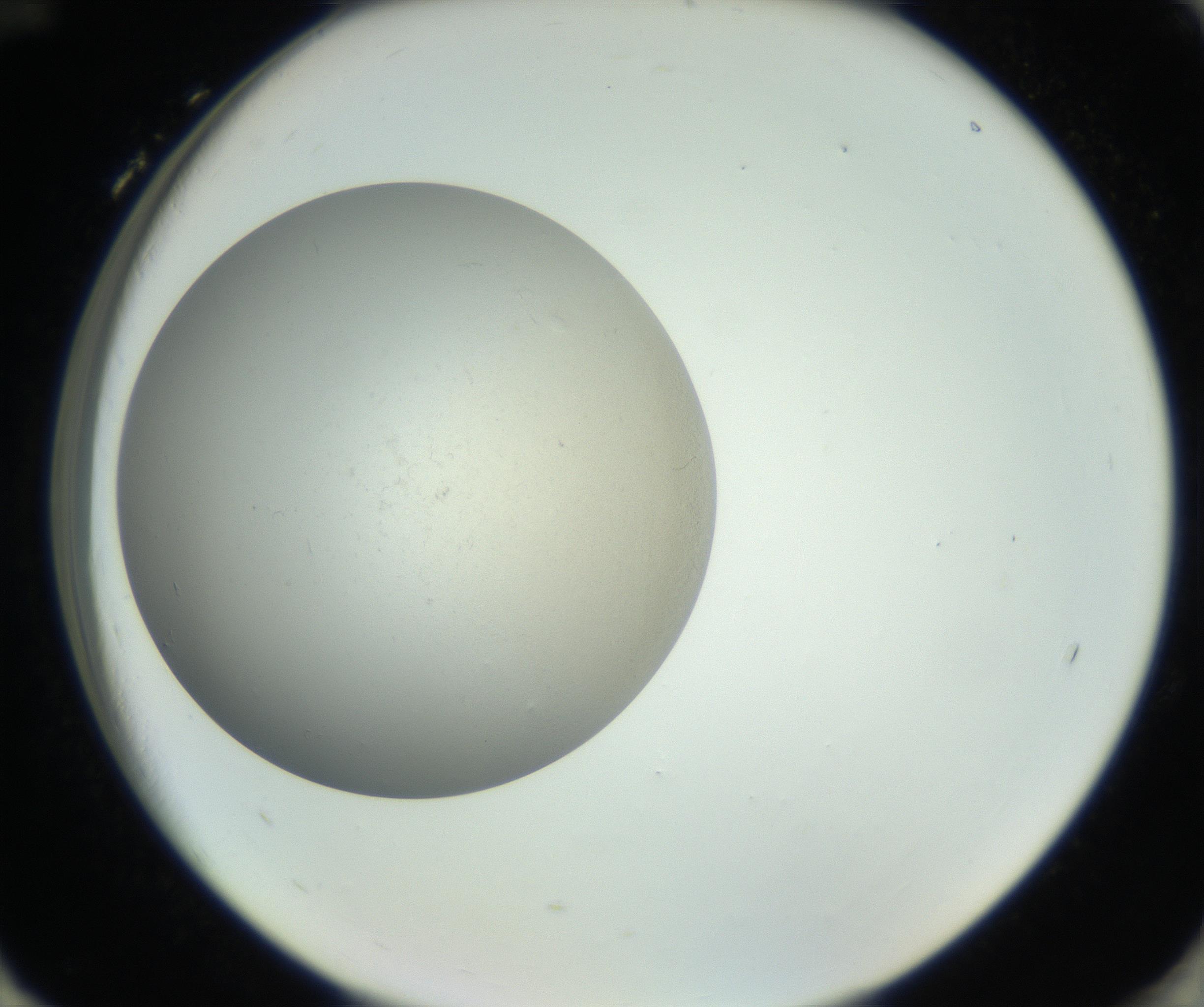 RI01_03_000_0212_Proj1_Clon1_MC_0000MC011202_010_160915_12_08_02_00_99_002_001_RAI.jpg