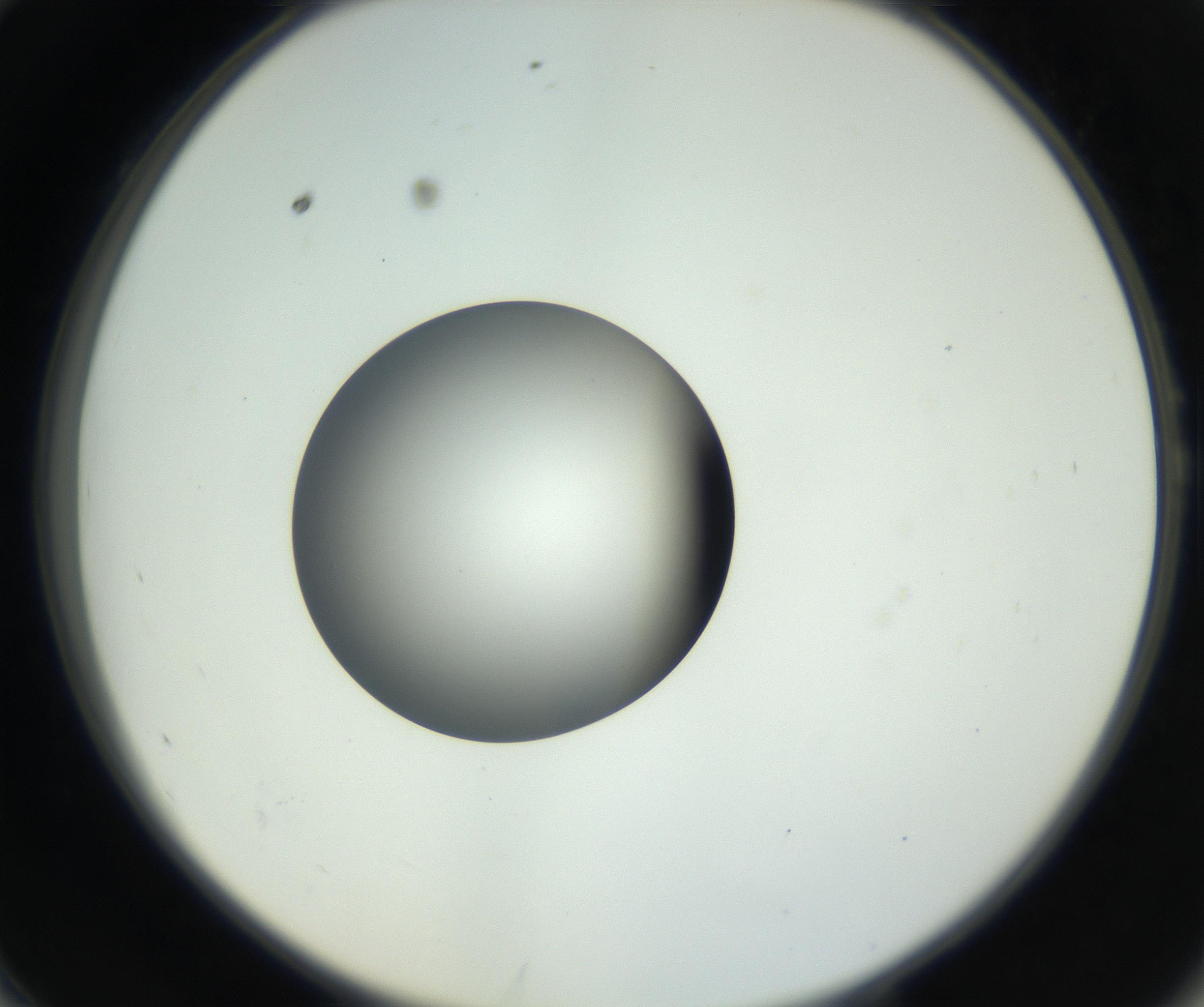 RI01_03_000_0212_Proj1_Clon1_MC_0000MC011203_009_160907_10_05_02_00_99_002_001_RAI.jpg