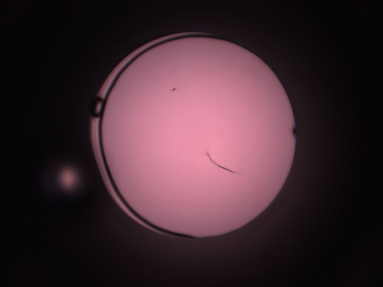 05i2_G8_ImagerDefaults_1.jpg