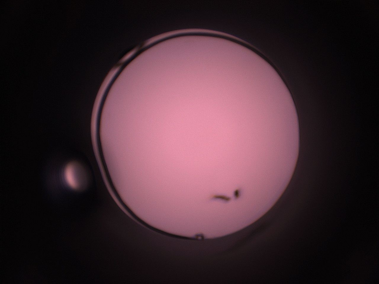 05i2_G11_ImagerDefaults_1.jpg
