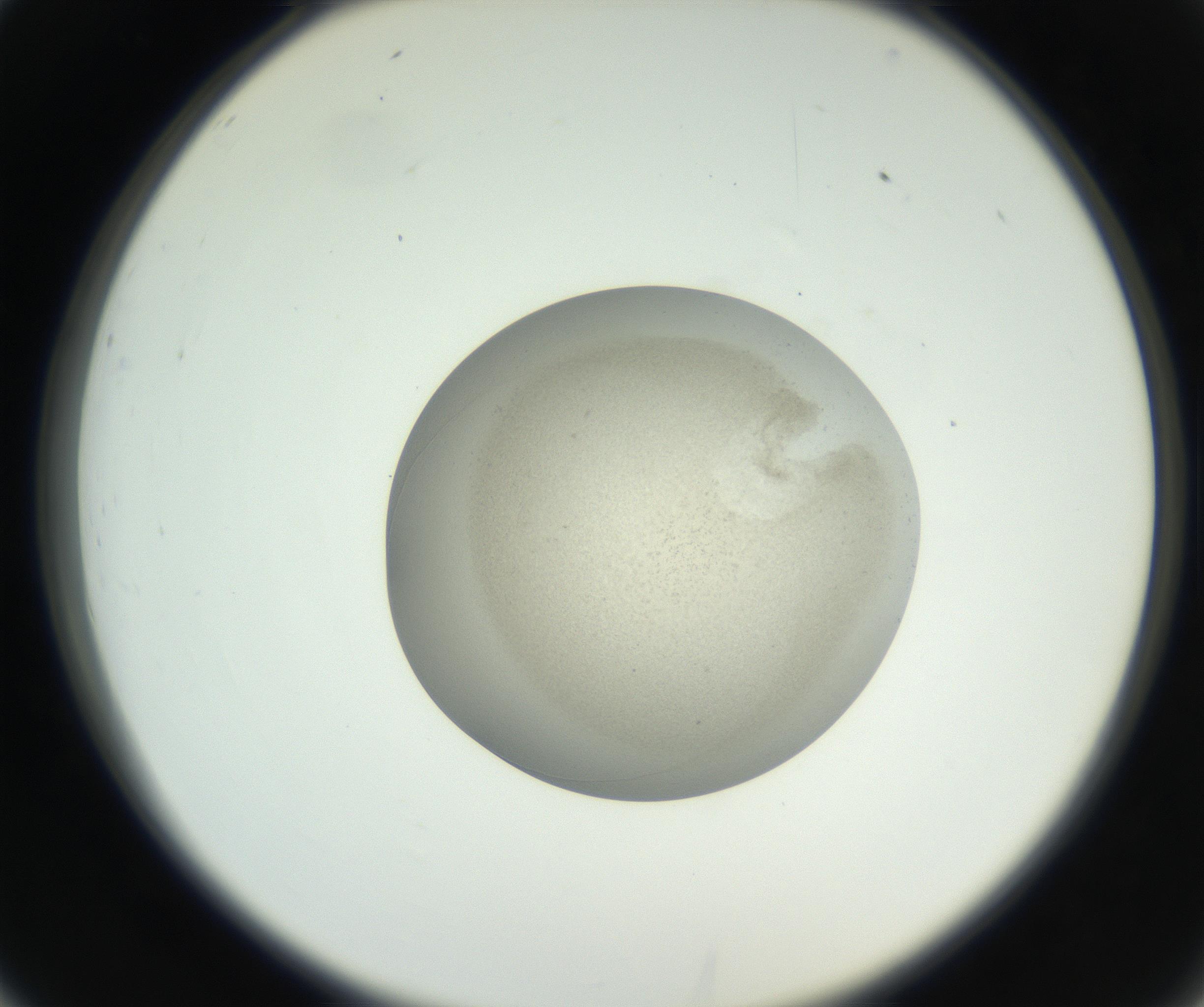 RI01_03_000_0212_Proj1_Clon1_MC_0000MC011227_002_160824_02_03_02_00_99_002_001_RAI.jpg