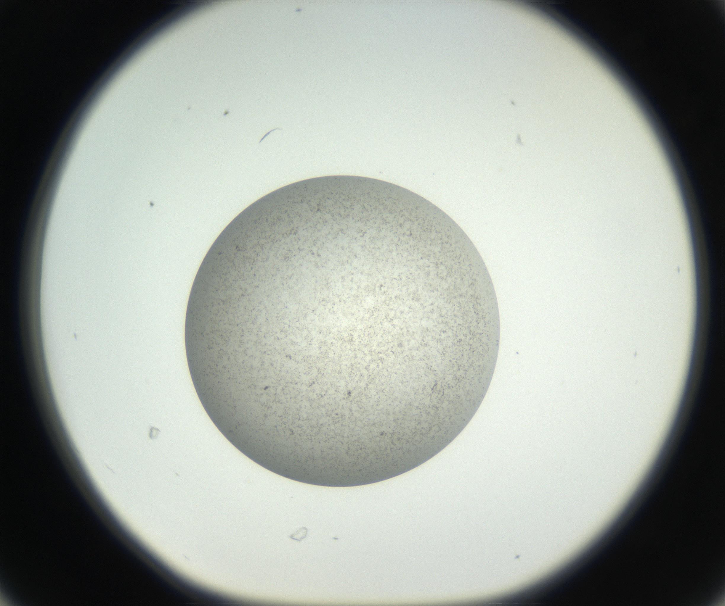 RI01_03_000_0212_Proj1_Clon1_MC_0000MC011227_002_160824_06_03_01_00_99_002_001_RAI.jpg