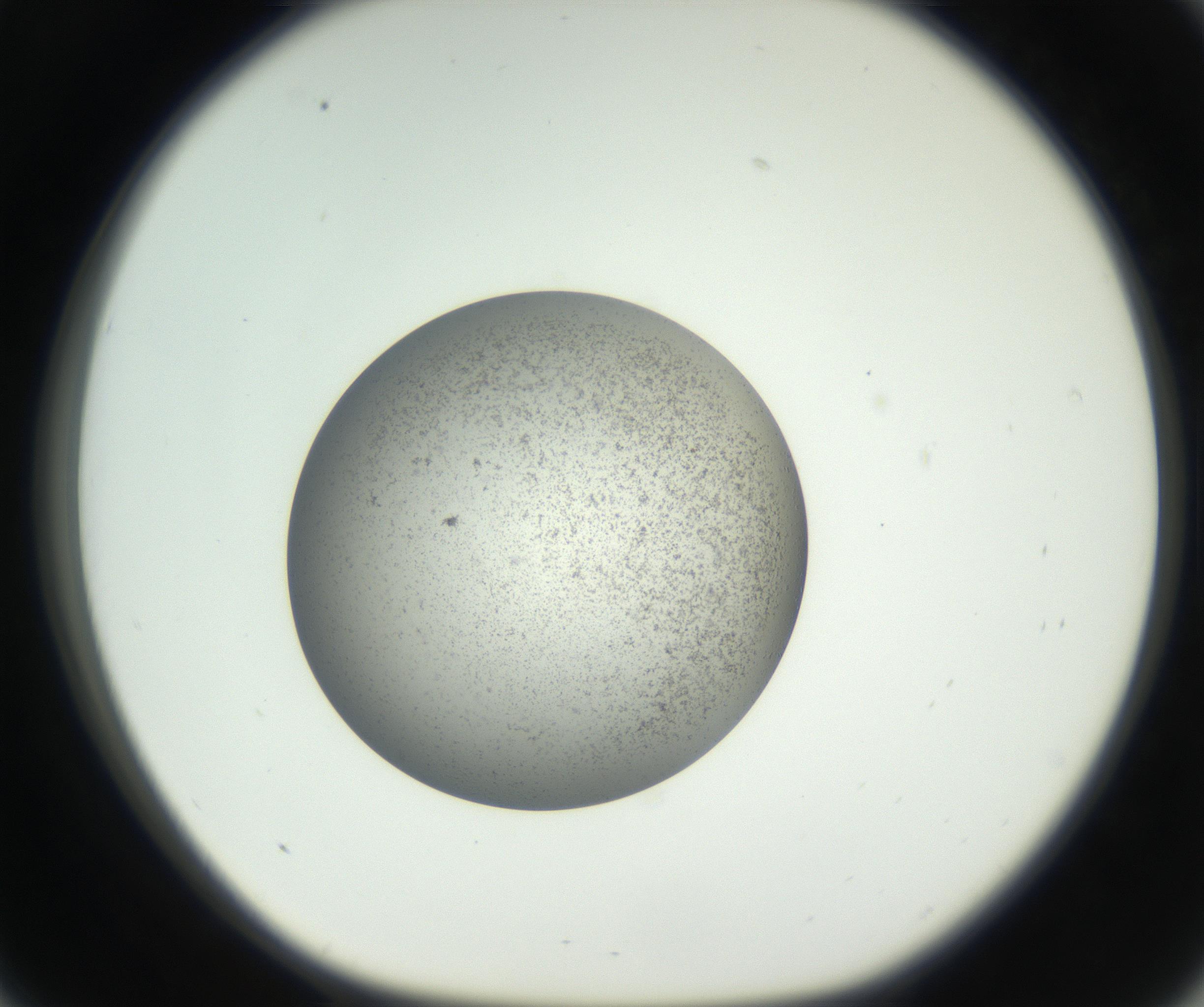 RI01_03_000_0212_Proj1_Clon1_MC_0000MC011227_002_160824_09_03_01_00_99_002_001_RAI.jpg