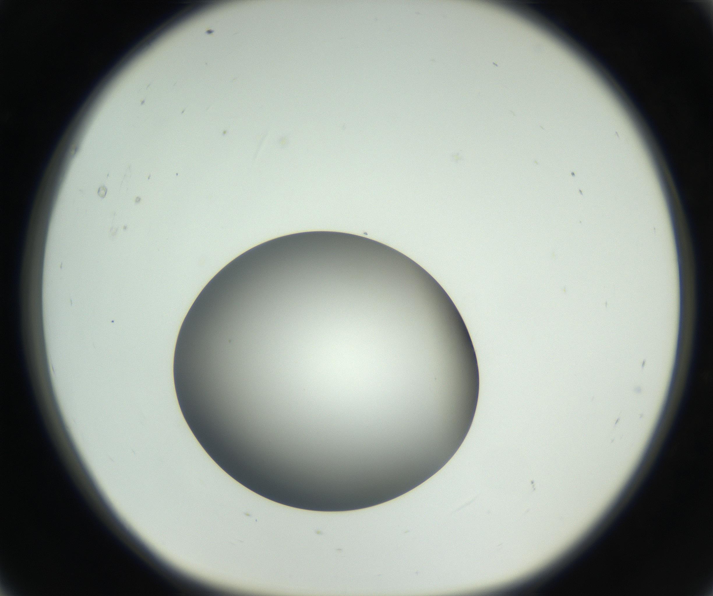 RI01_03_000_0212_Proj1_Clon1_MC_0000MC011261_004_160913_05_01_01_00_99_002_001_RAI.jpg