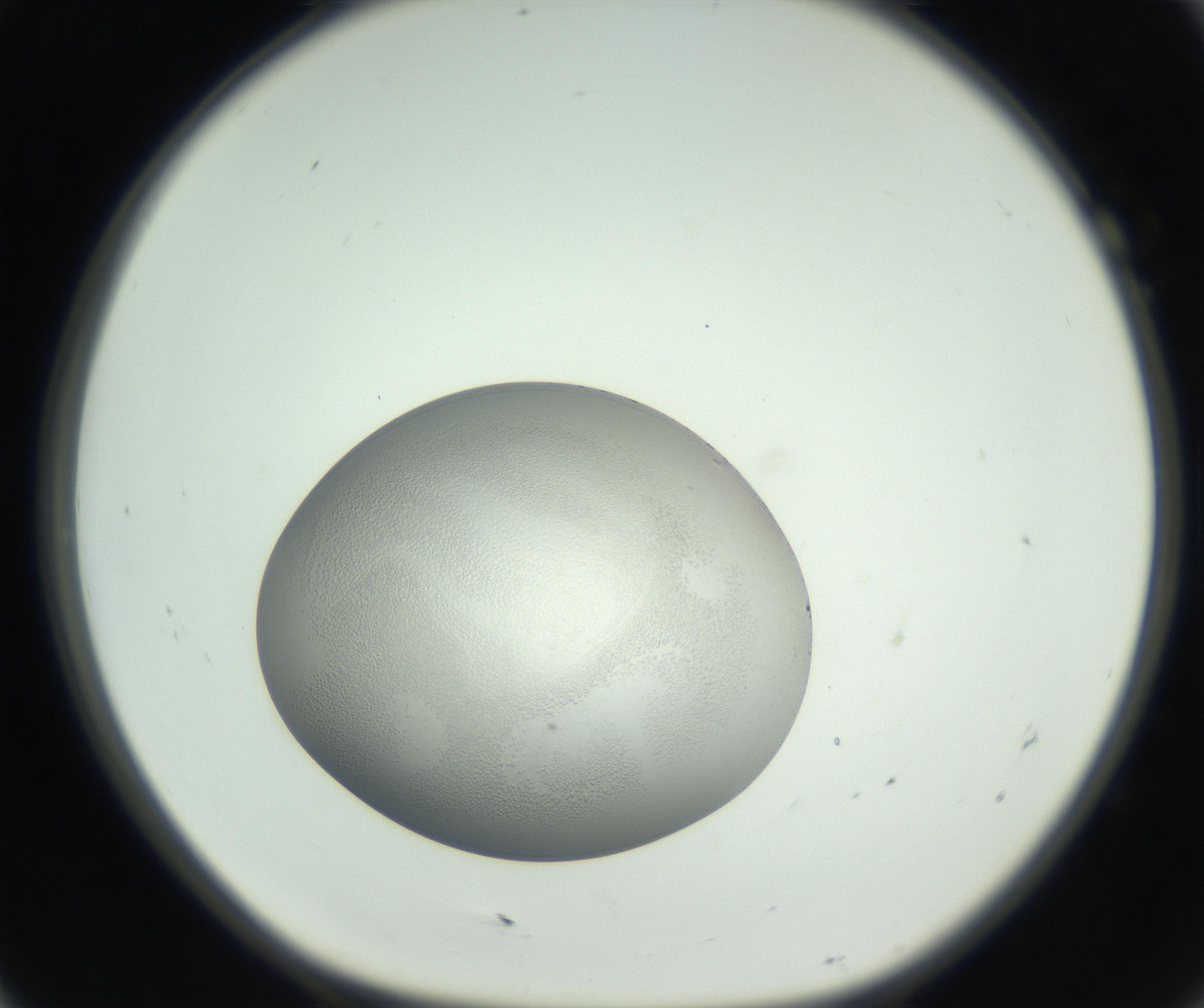 RI01_03_000_0212_Proj1_Clon1_MC_0000MC011261_004_160913_07_01_01_00_99_002_001_RAI.jpg