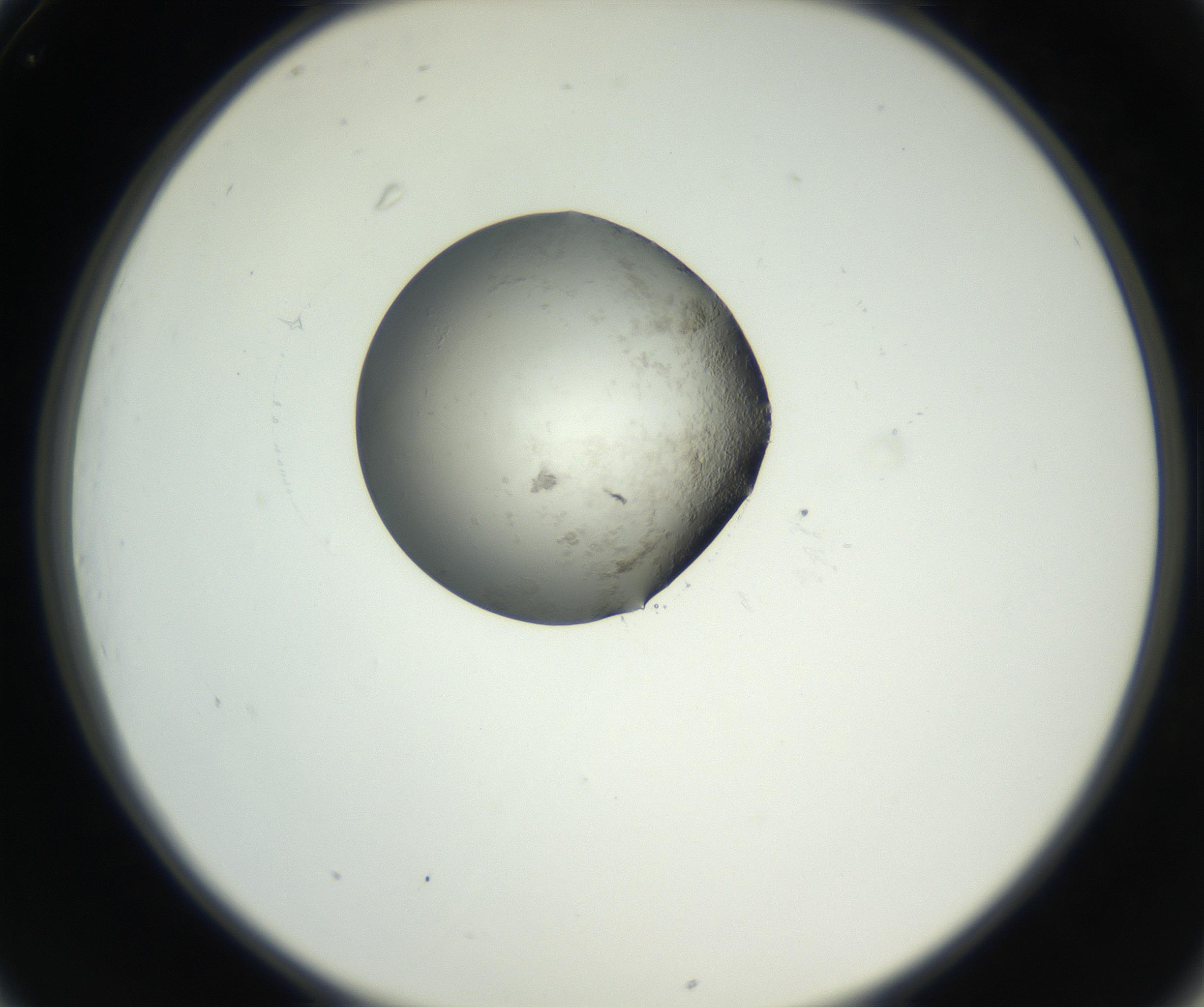 RI01_03_000_0212_Proj1_Clon1_MC_0000MC102538_012_160813_01_03_02_00_99_002_001_RAI.jpg