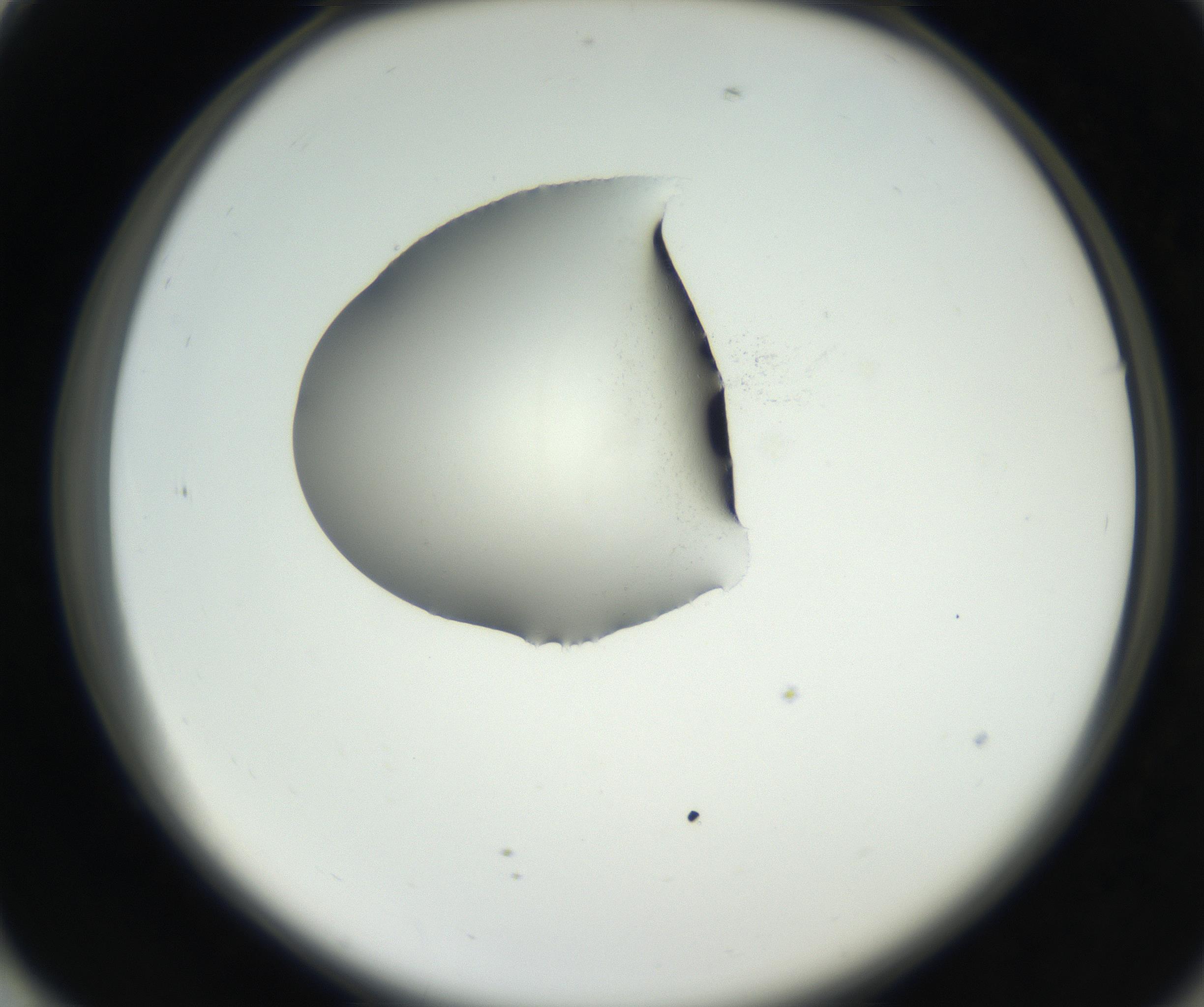 RI01_03_000_0212_Proj1_Clon1_MC_0000MC102538_012_160813_01_07_02_00_99_002_001_RAI.jpg