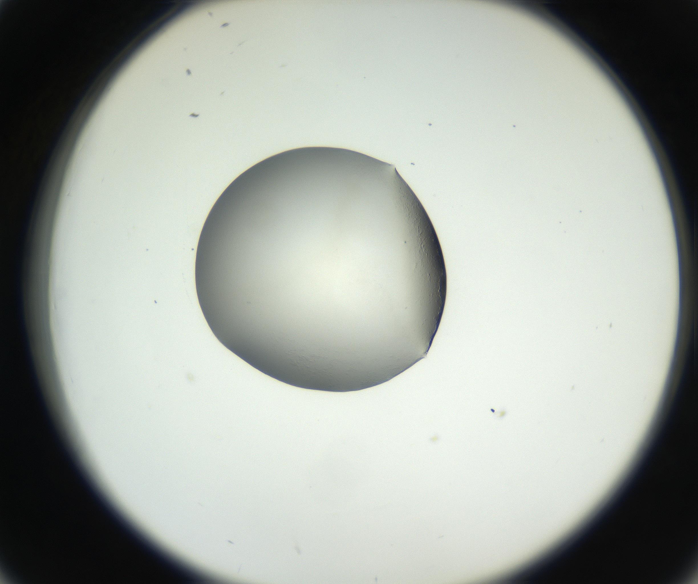RI01_03_000_0212_Proj1_Clon1_MC_0000MC102538_012_160813_02_04_02_00_99_002_001_RAI.jpg