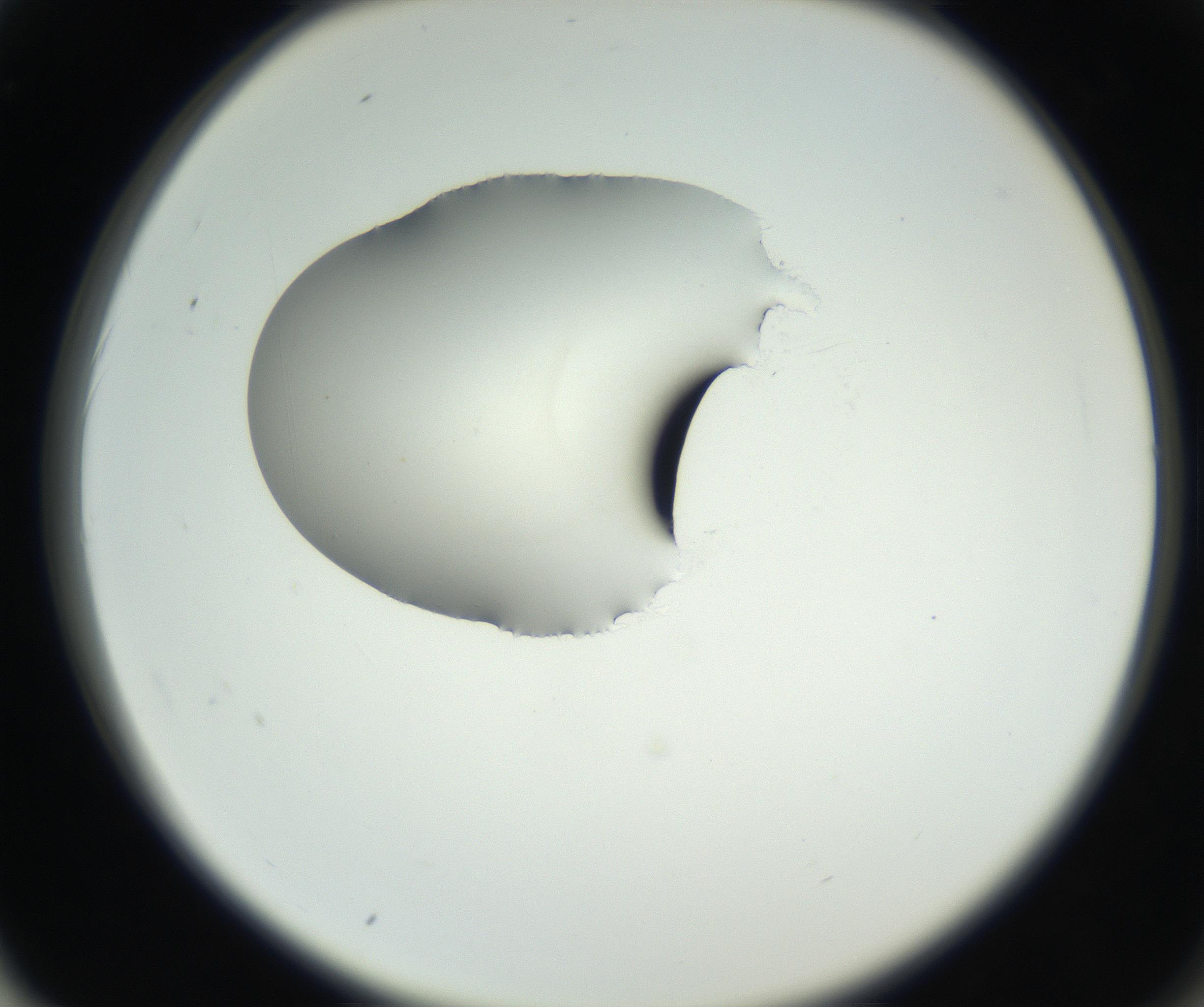 RI01_03_000_0212_Proj1_Clon1_MC_0000MC102538_012_160813_02_06_02_00_99_002_001_RAI.jpg