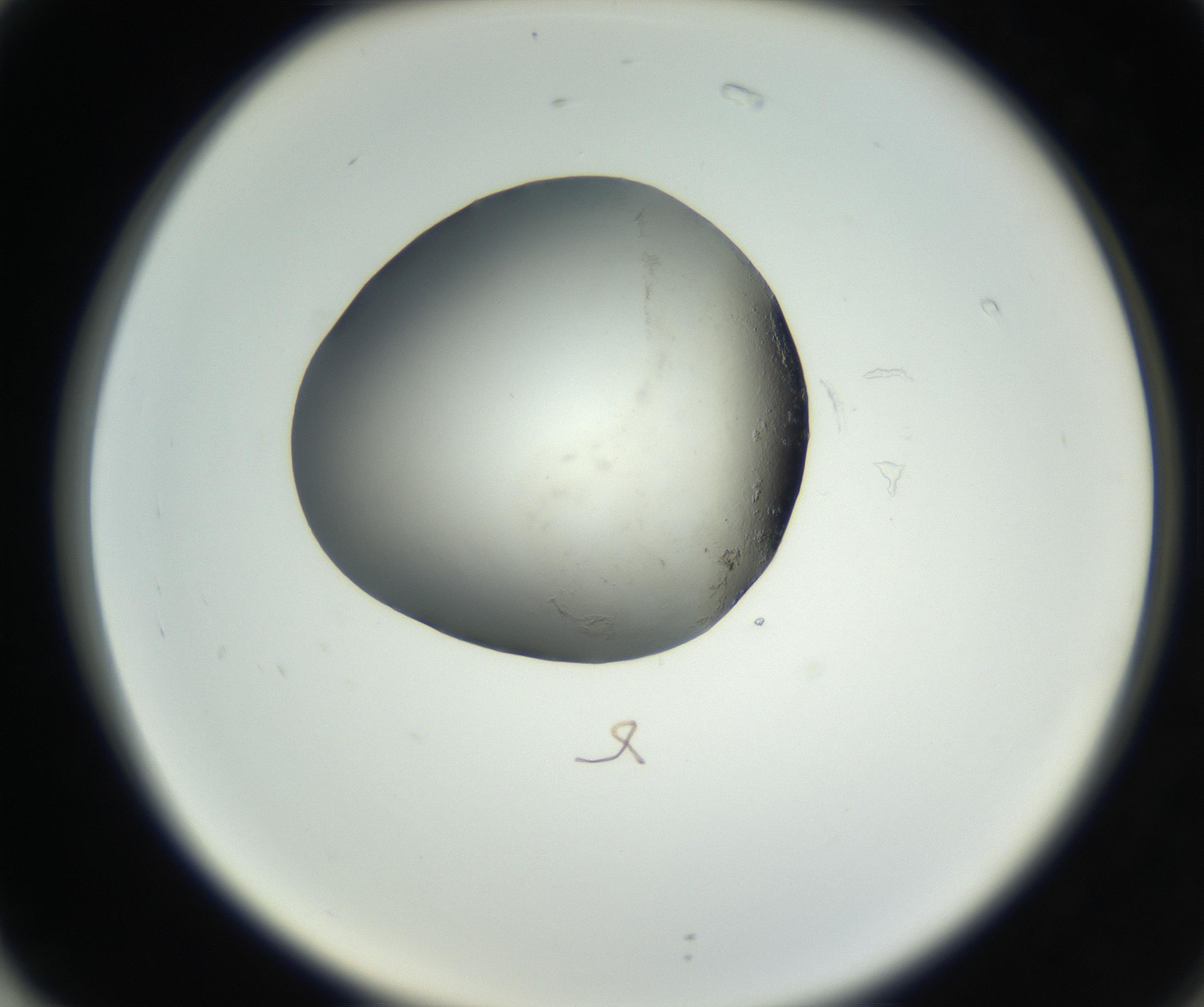 RI01_03_000_0212_Proj1_Clon1_MC_0000MC102538_012_160813_02_07_02_00_99_002_001_RAI.jpg