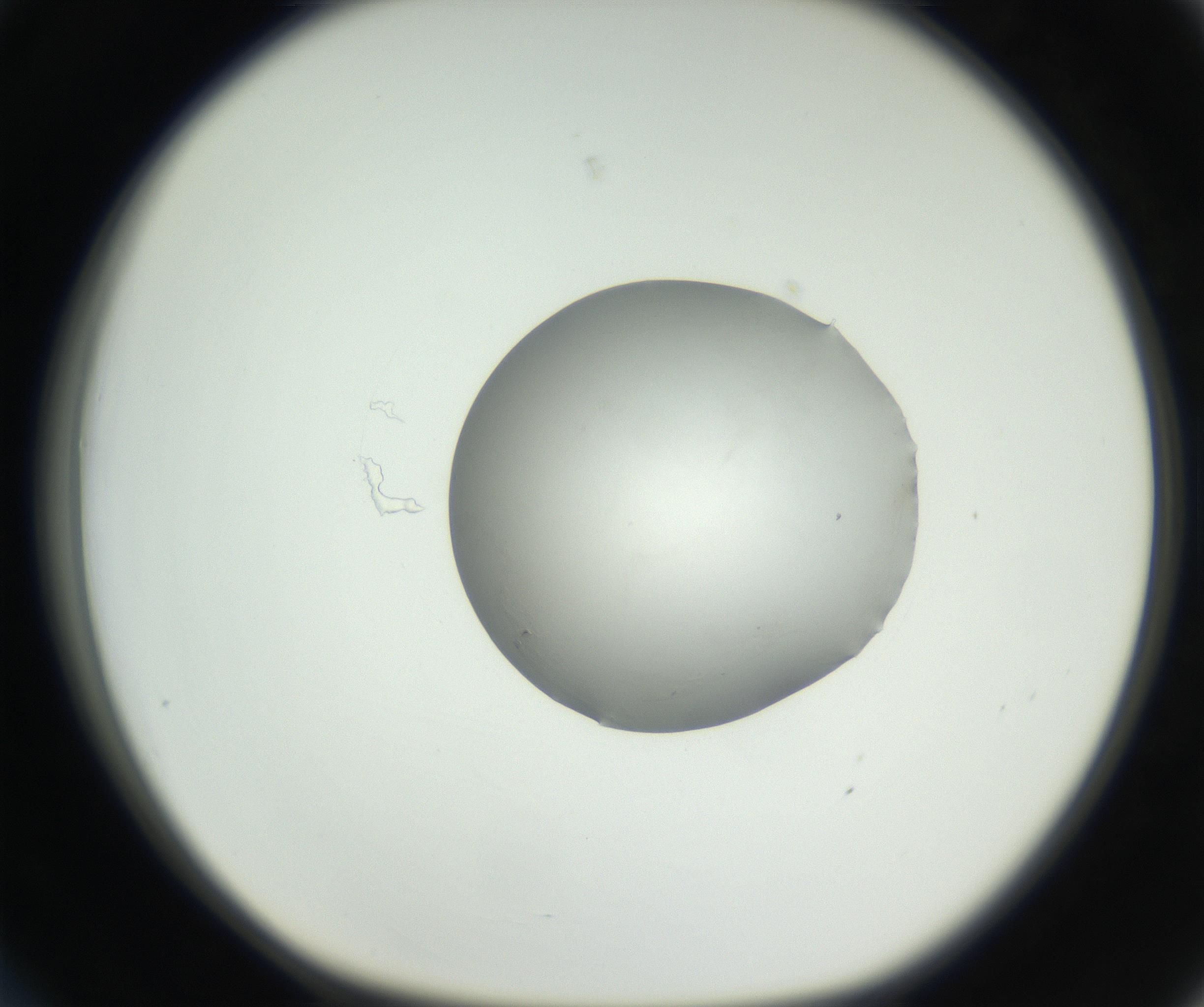 RI01_03_000_0212_Proj1_Clon1_MC_0000MC102538_012_160813_03_03_01_00_99_002_001_RAI.jpg