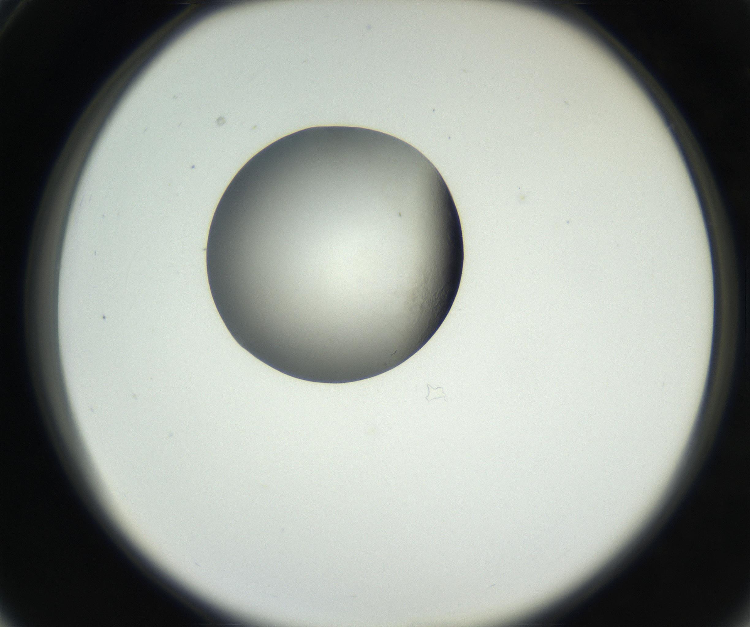 RI01_03_000_0212_Proj1_Clon1_MC_0000MC102538_012_160813_03_03_02_00_99_002_001_RAI.jpg