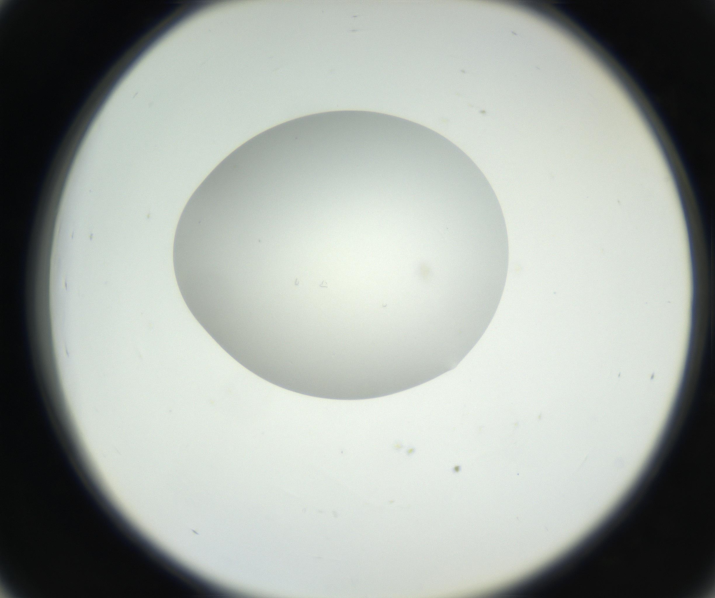 RI01_03_000_0212_Proj1_Clon1_MC_0000MC102538_012_160813_03_04_02_00_99_002_001_RAI.jpg