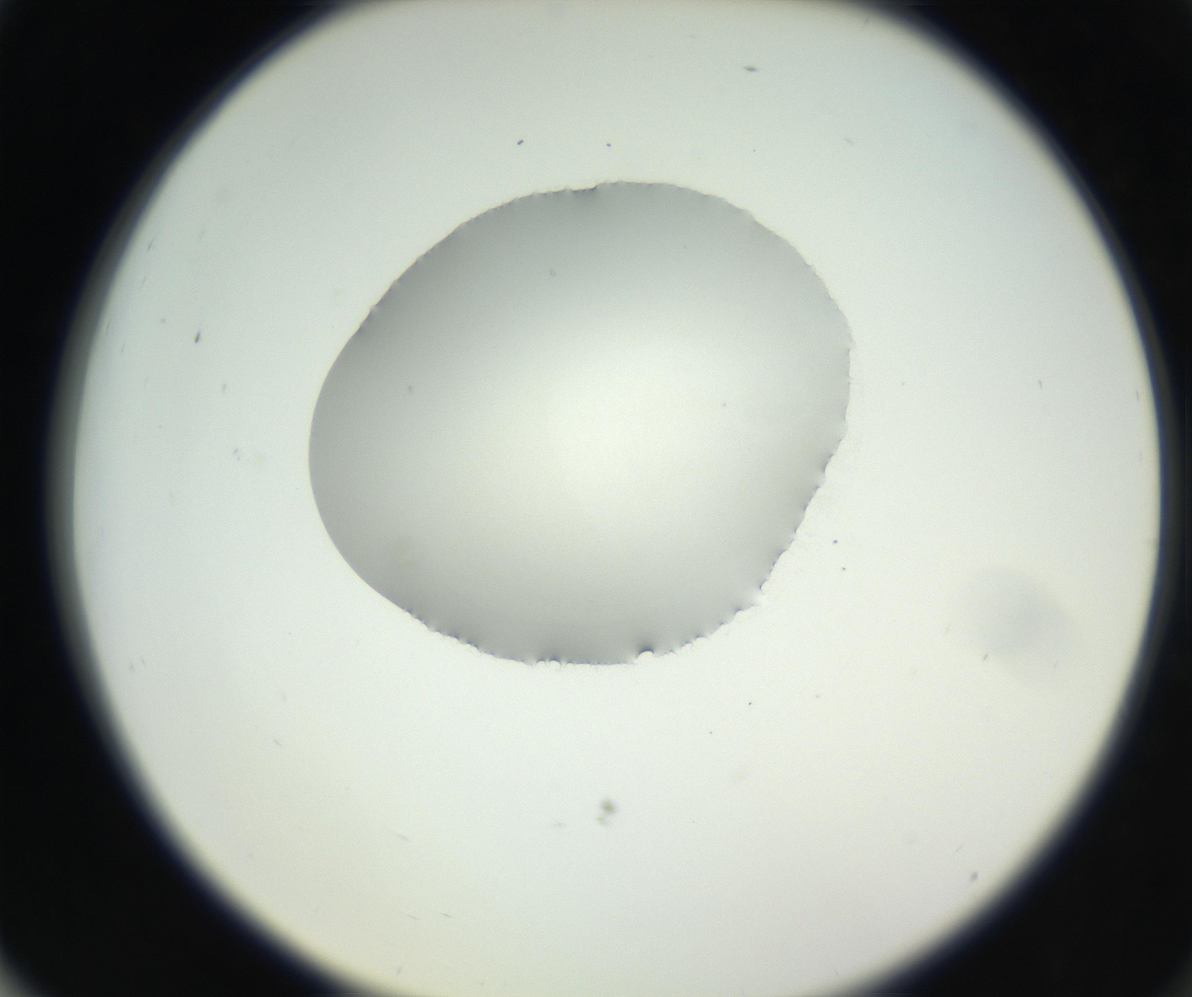 RI01_03_000_0212_Proj1_Clon1_MC_0000MC102538_012_160813_03_07_02_00_99_002_001_RAI.jpg