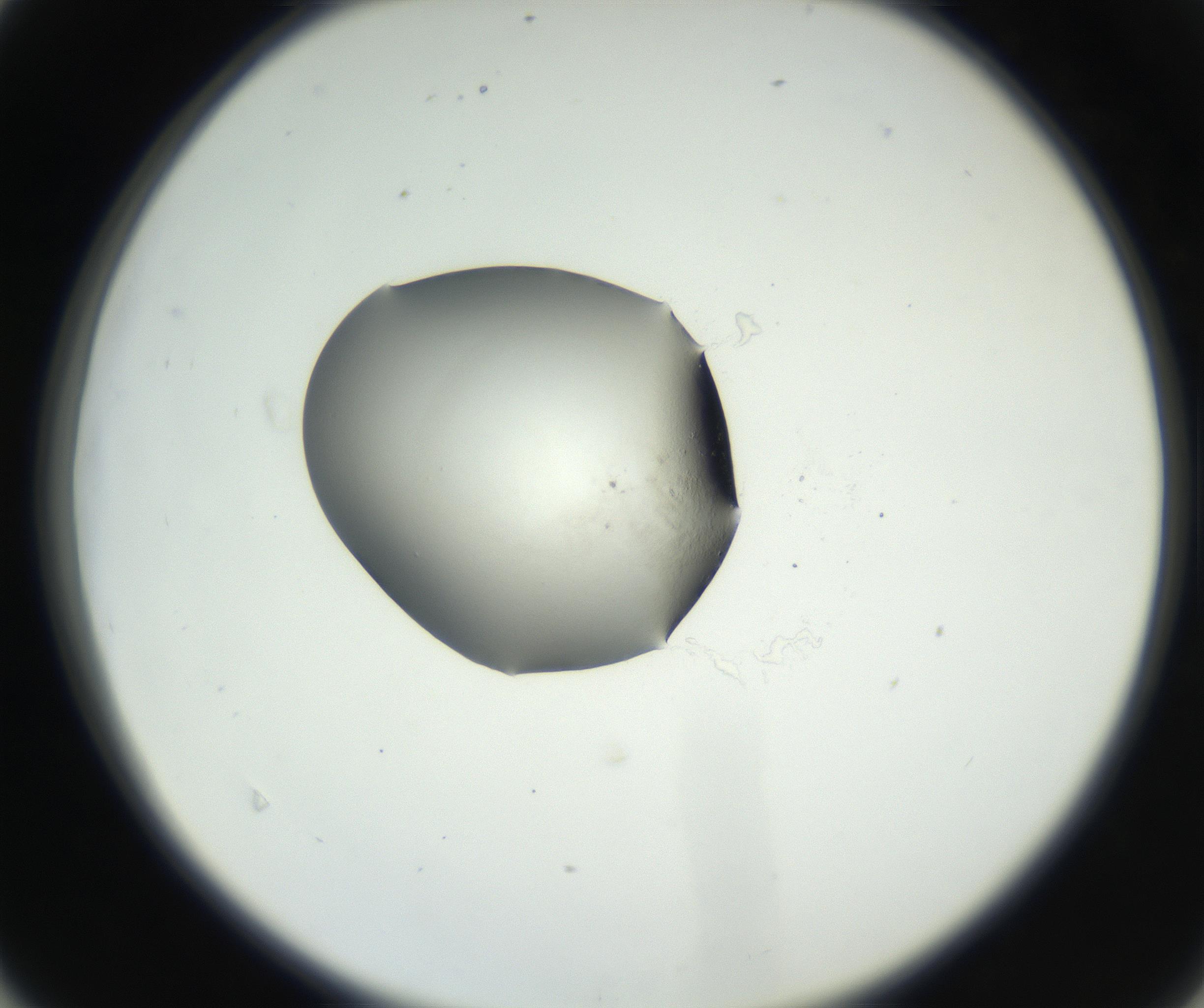 RI01_03_000_0212_Proj1_Clon1_MC_0000MC102538_012_160813_04_04_02_00_99_002_001_RAI.jpg