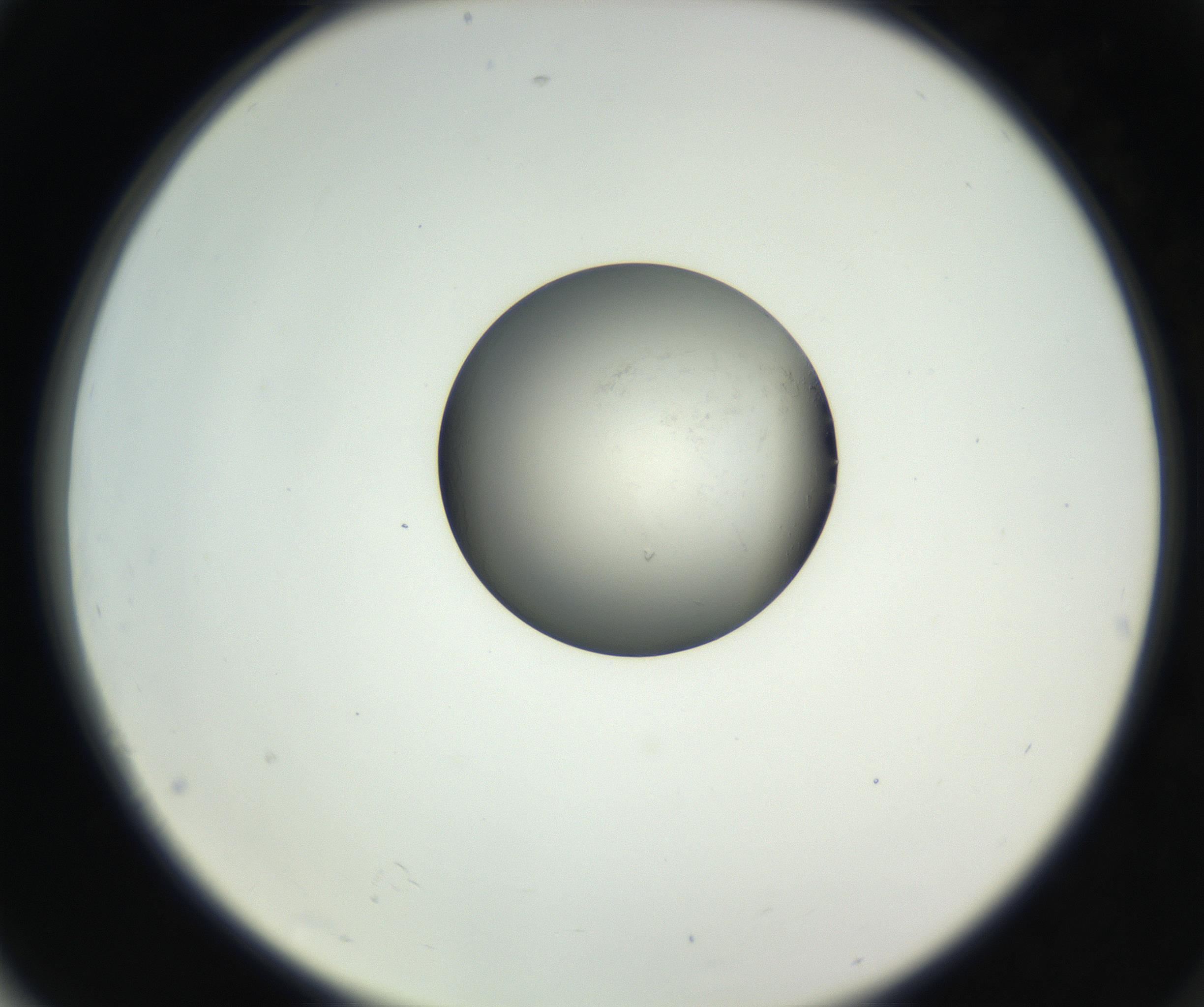 RI01_03_000_0212_Proj1_Clon1_MC_0000MC102538_012_160813_04_07_02_00_99_002_001_RAI.jpg