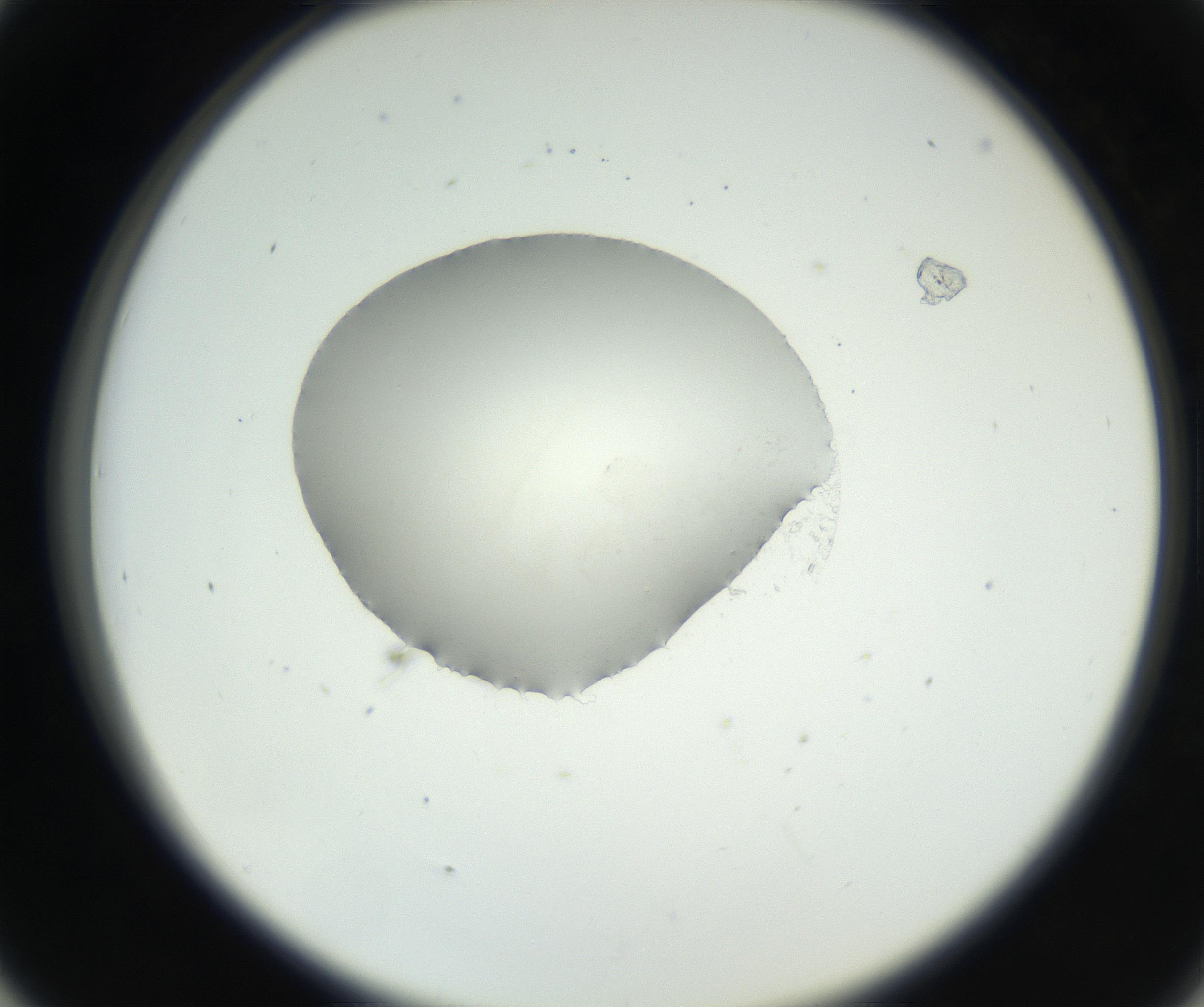 RI01_03_000_0212_Proj1_Clon1_MC_0000MC102538_012_160813_05_04_02_00_99_002_001_RAI.jpg