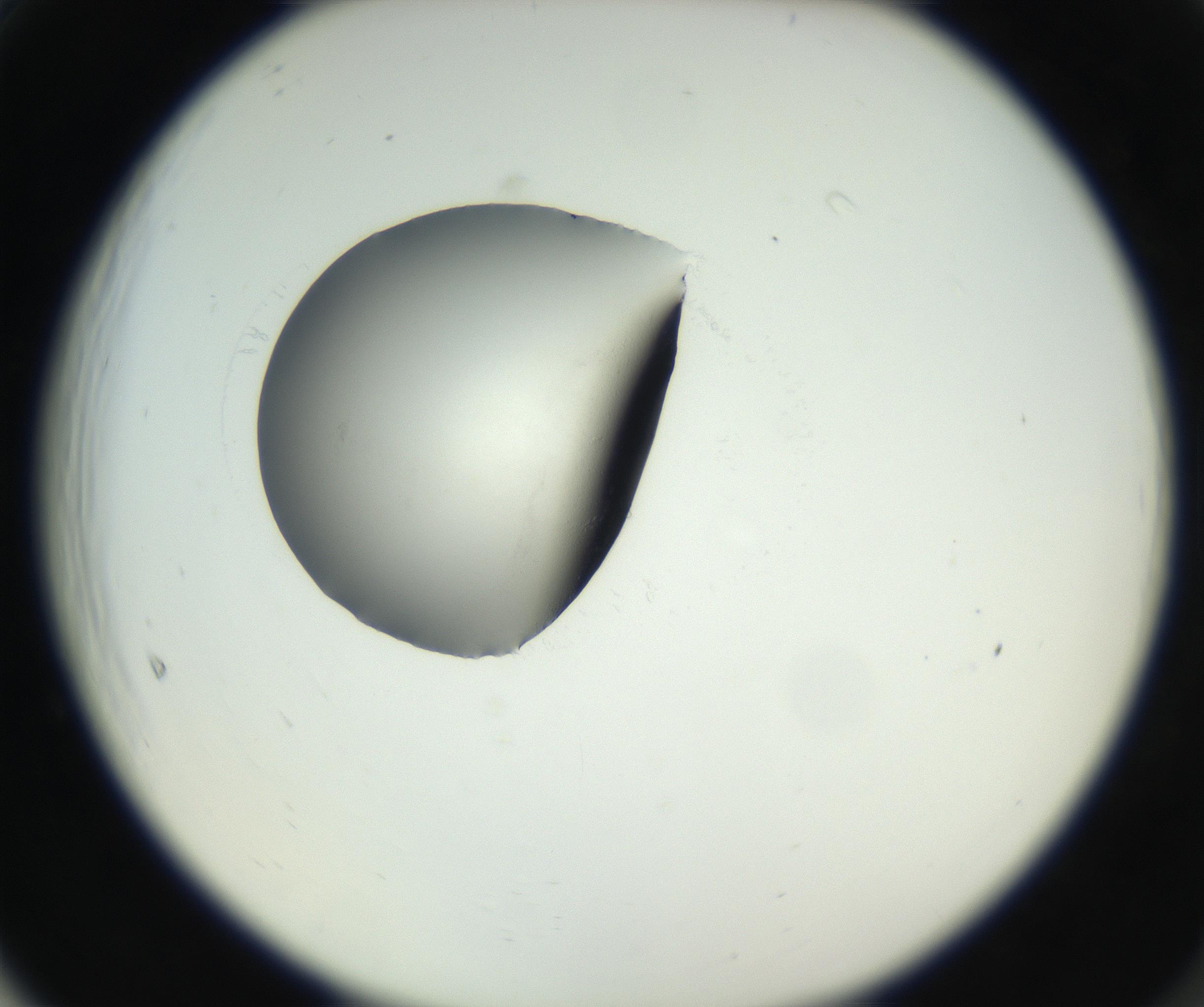 RI01_03_000_0212_Proj1_Clon1_MC_0000MC102538_012_160813_05_06_02_00_99_002_001_RAI.jpg