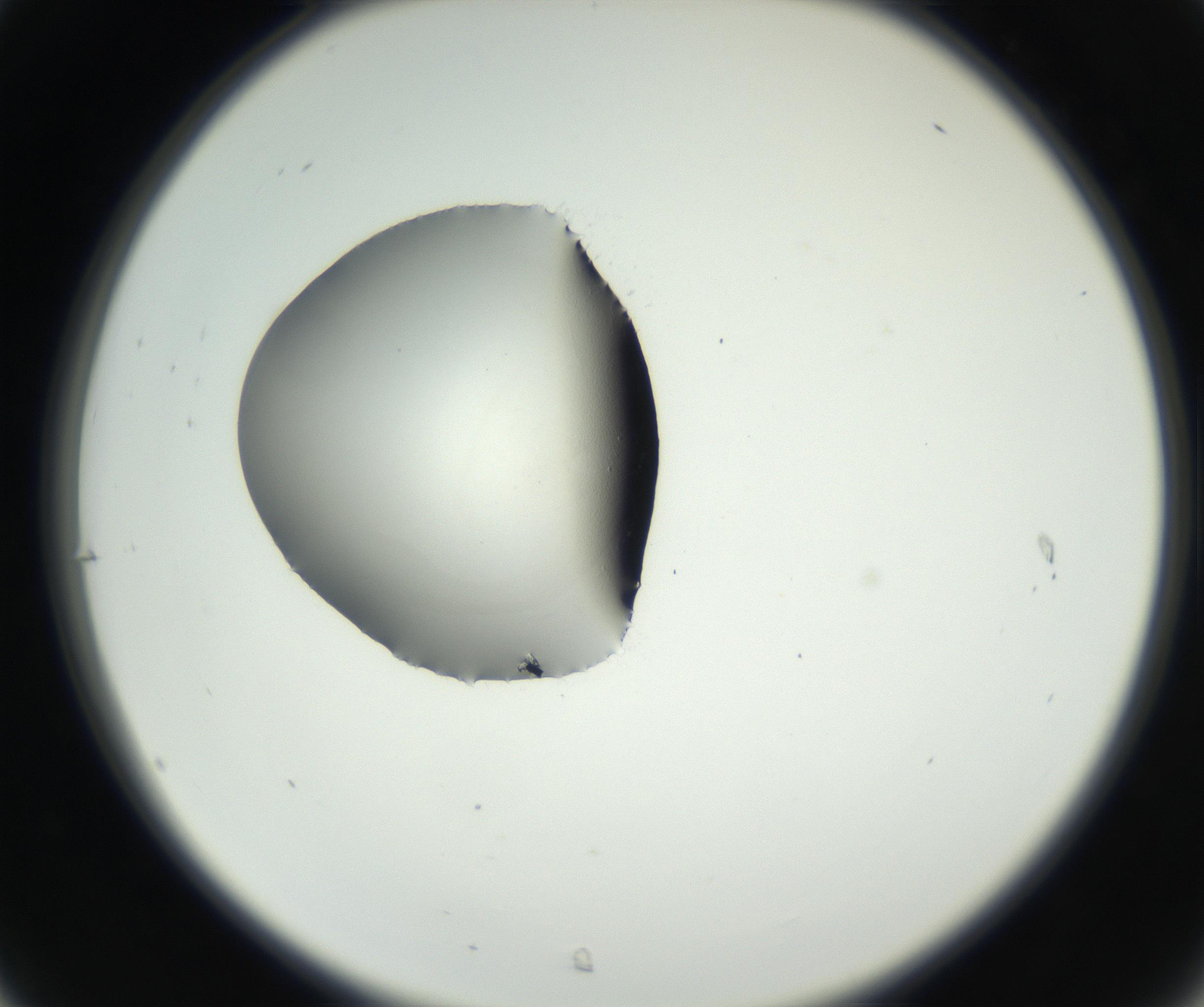 RI01_03_000_0212_Proj1_Clon1_MC_0000MC102538_012_160813_07_03_02_00_99_002_001_RAI.jpg