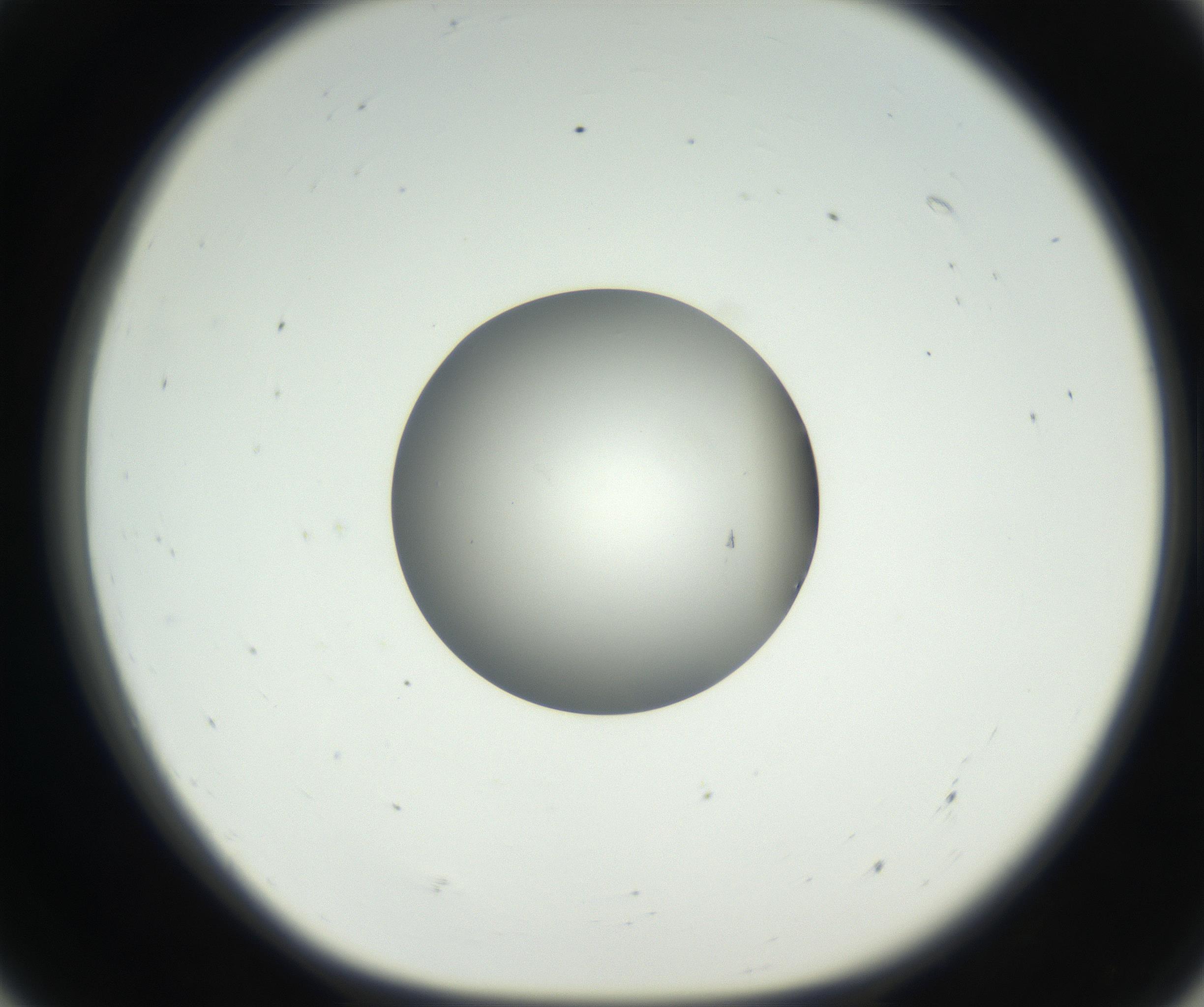 RI01_03_000_0212_Proj1_Clon1_MC_0000MC102538_012_160813_07_05_01_00_99_002_001_RAI.jpg