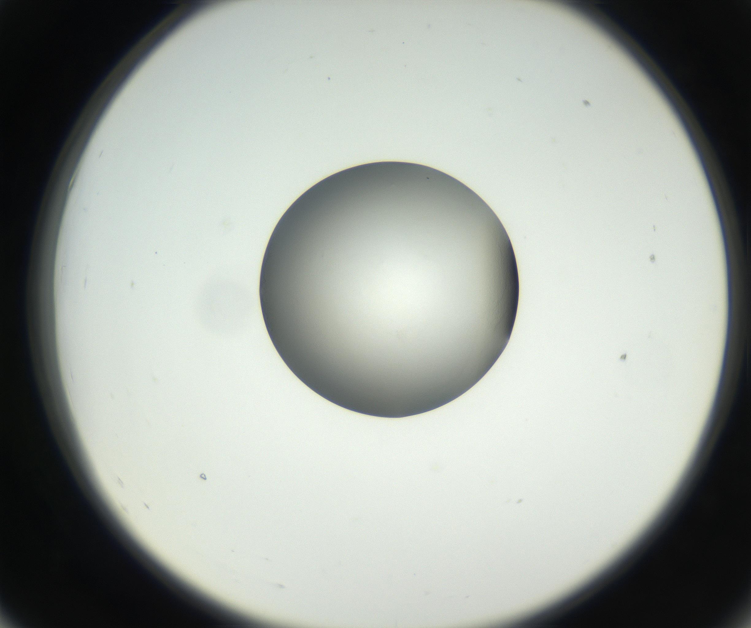 RI01_03_000_0212_Proj1_Clon1_MC_0000MC102538_012_160813_07_05_02_00_99_002_001_RAI.jpg