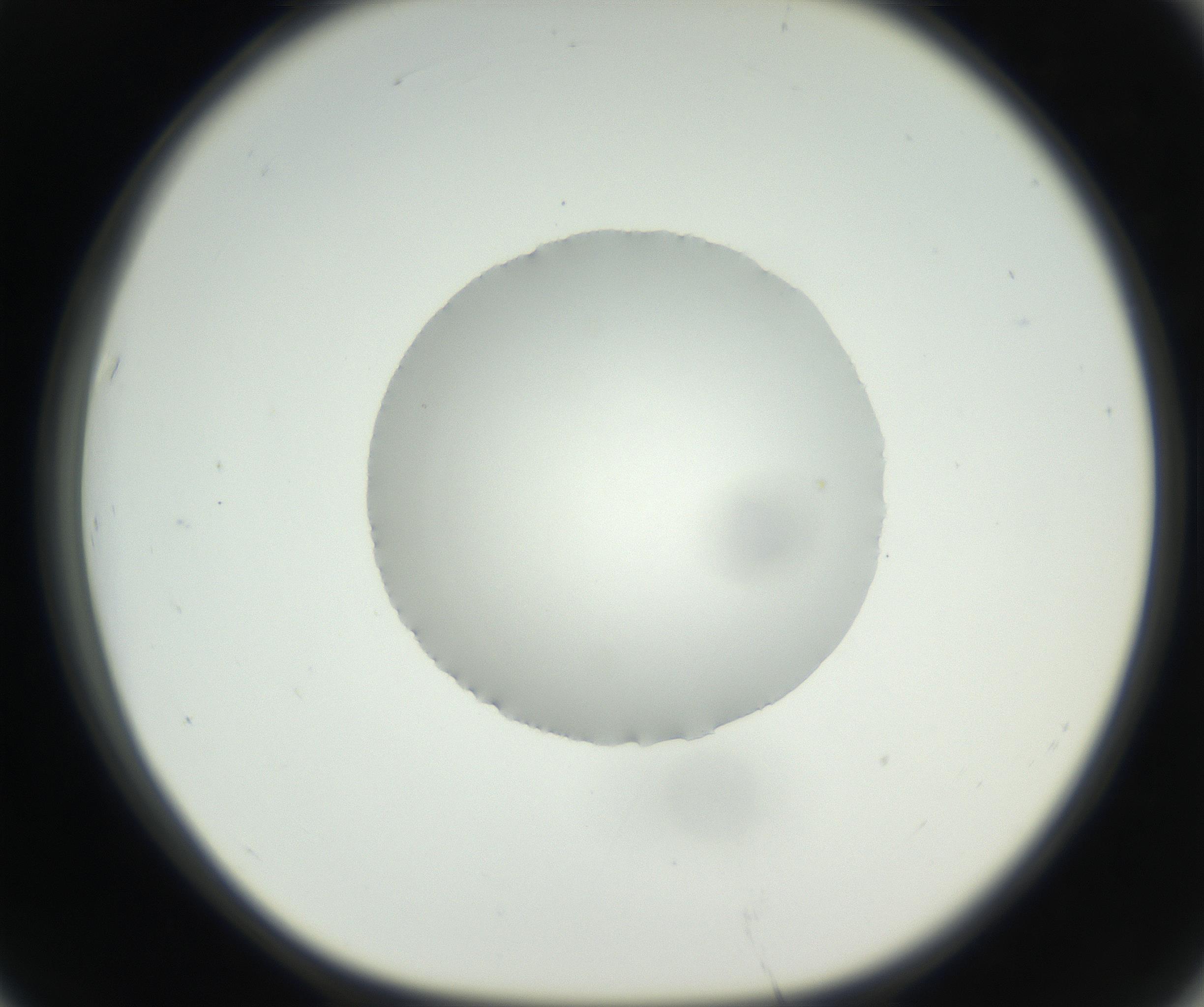 RI01_03_000_0212_Proj1_Clon1_MC_0000MC102538_012_160813_07_06_01_00_99_002_001_RAI.jpg
