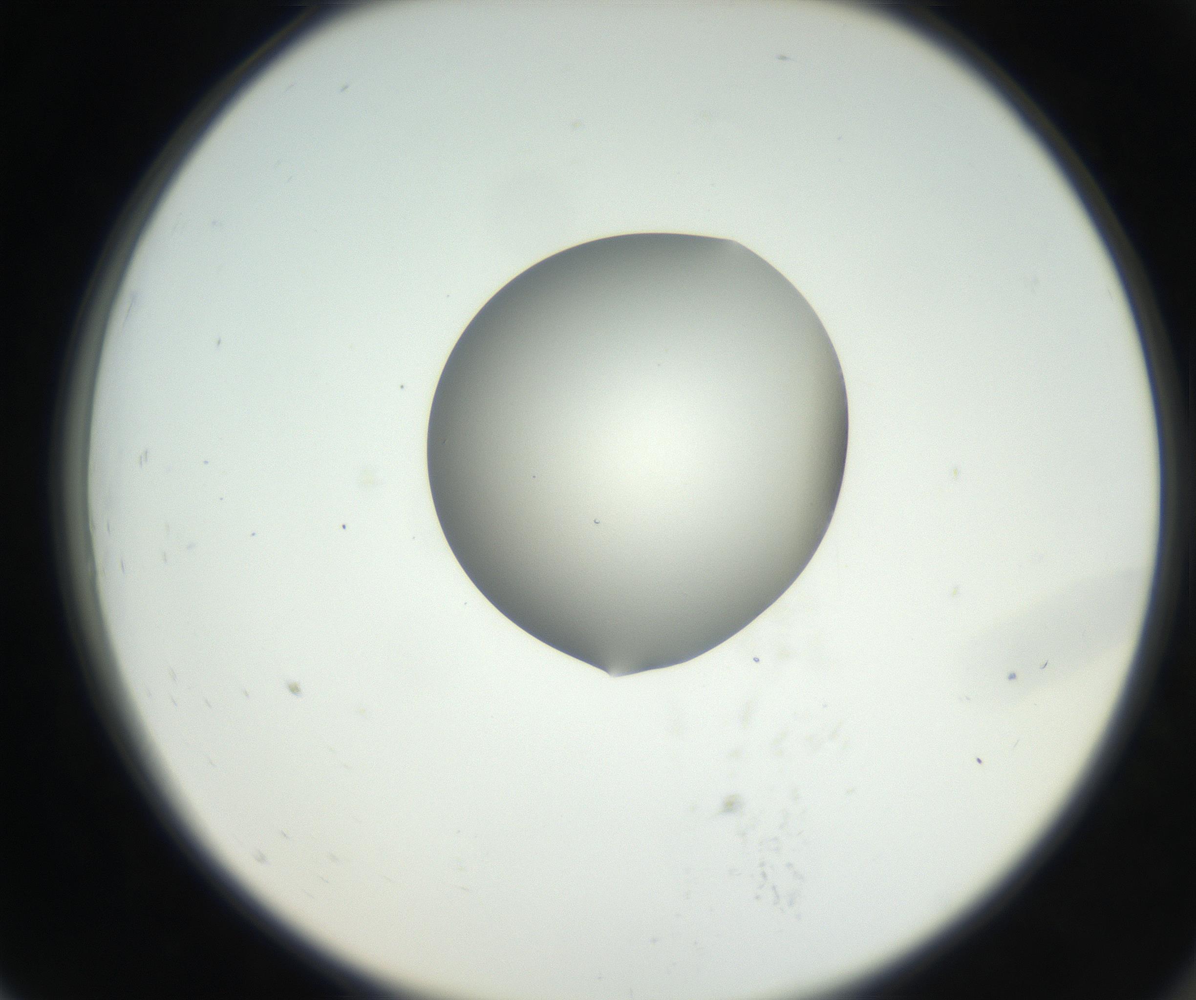 RI01_03_000_0212_Proj1_Clon1_MC_0000MC102538_012_160813_07_07_02_00_99_002_001_RAI.jpg