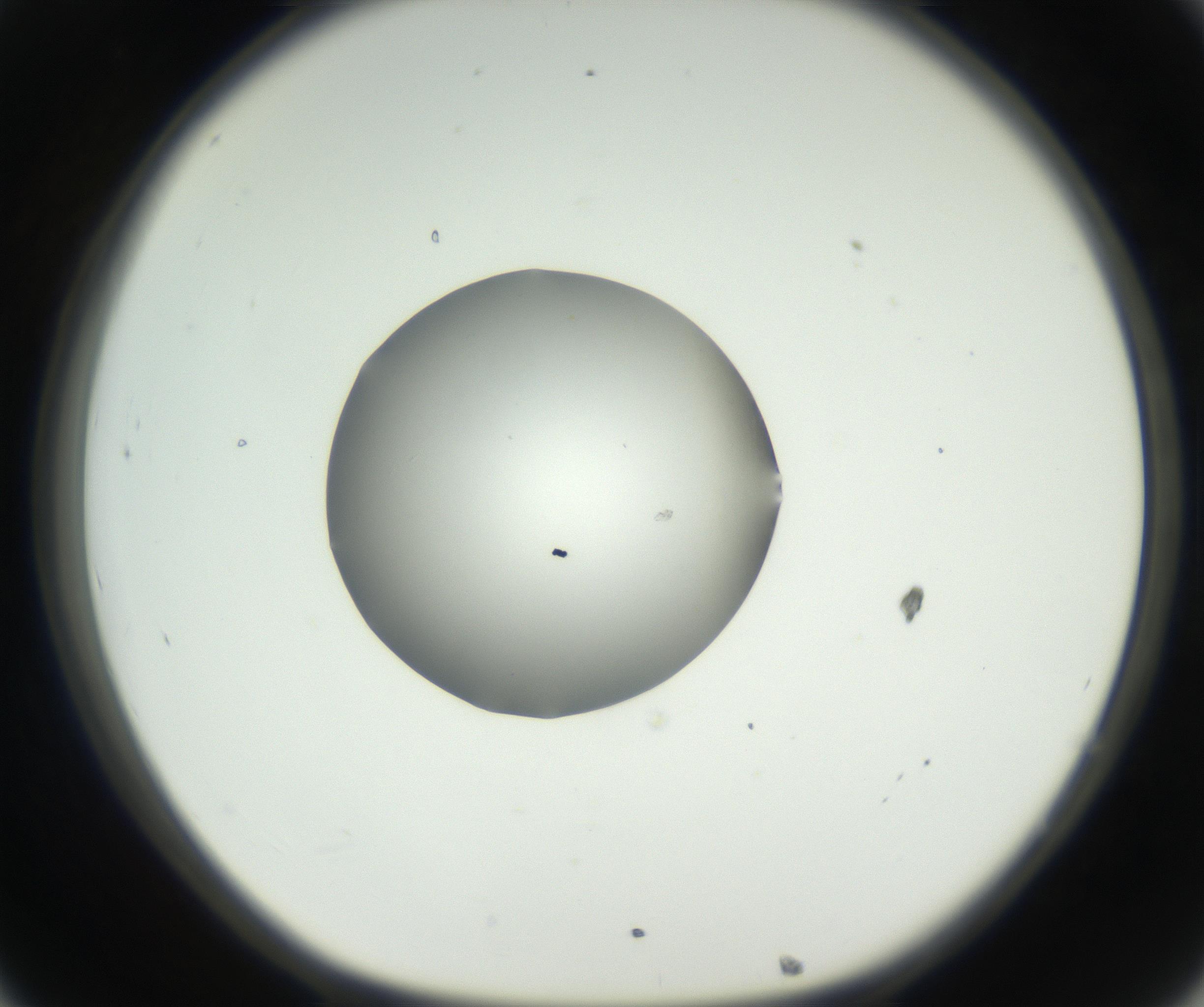RI01_03_000_0212_Proj1_Clon1_MC_0000MC102538_012_160813_08_03_01_00_99_002_001_RAI.jpg