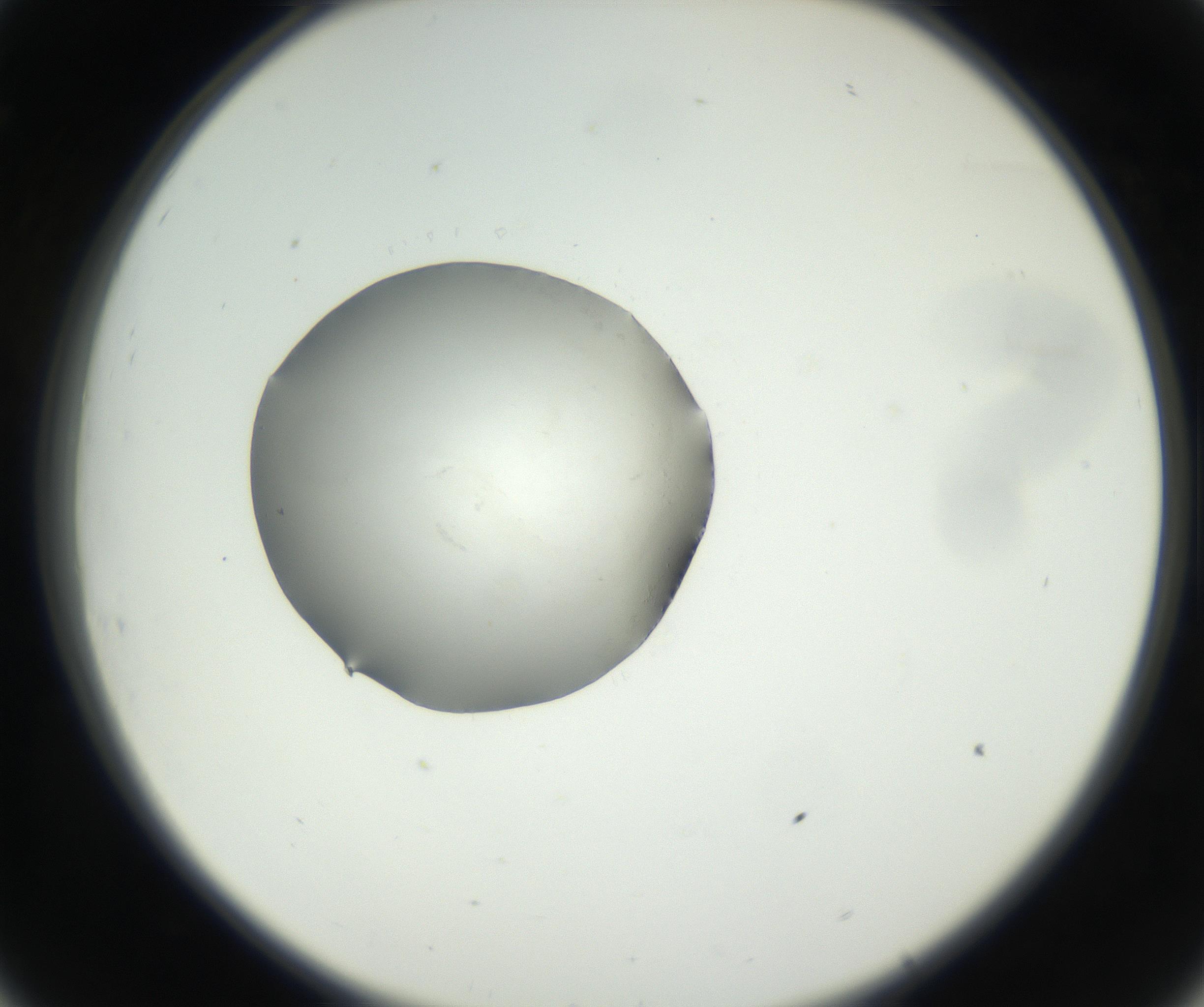 RI01_03_000_0212_Proj1_Clon1_MC_0000MC102538_012_160813_08_03_02_00_99_002_001_RAI.jpg