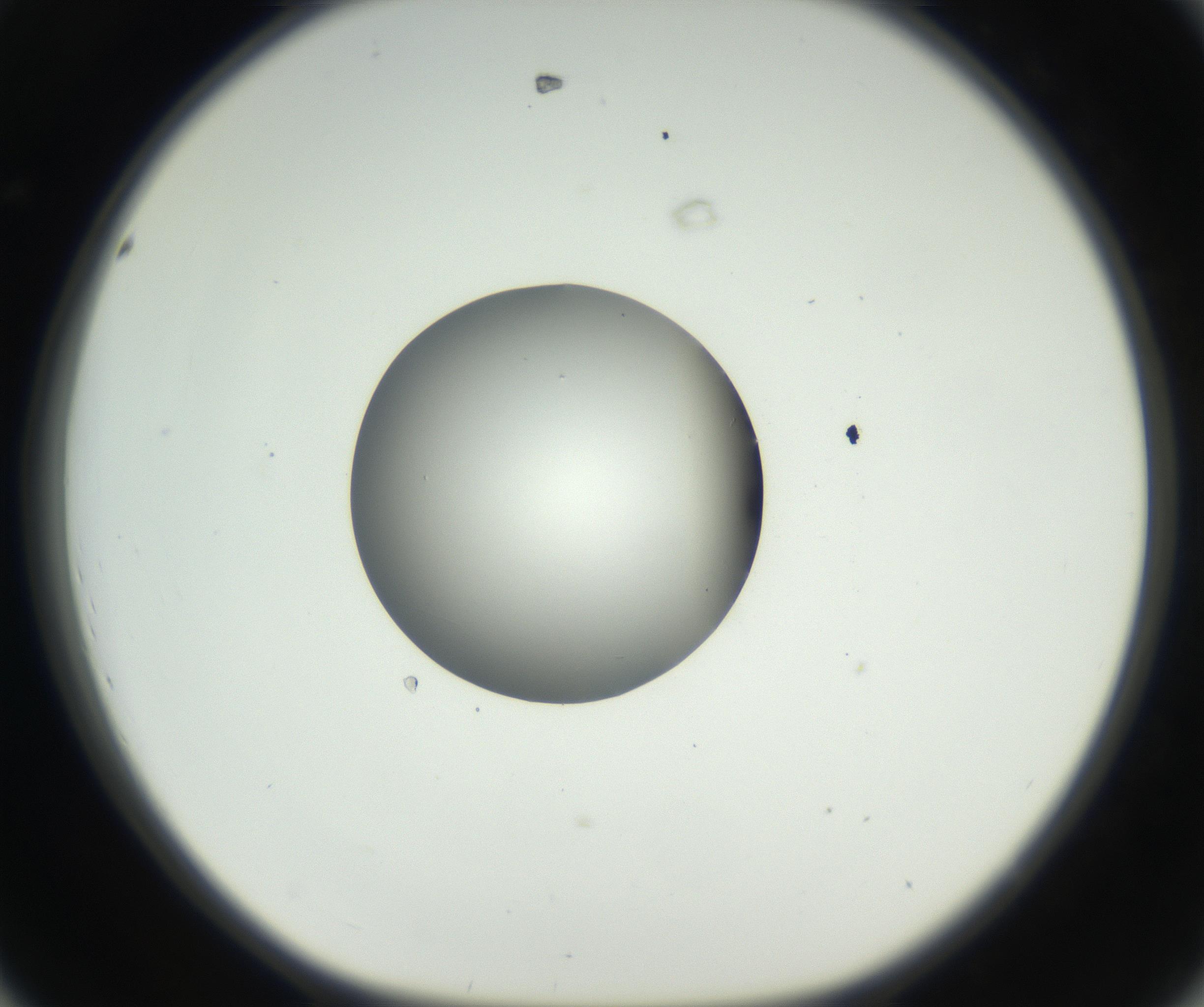 RI01_03_000_0212_Proj1_Clon1_MC_0000MC102538_012_160813_08_04_01_00_99_002_001_RAI.jpg