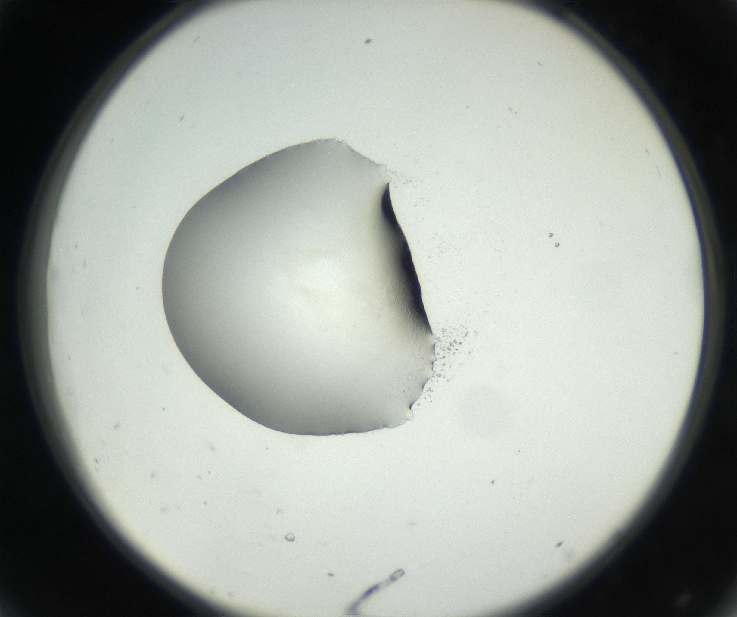 RI01_03_000_0212_Proj1_Clon1_MC_0000MC102538_012_160813_08_04_02_00_99_002_001_RAI.jpg