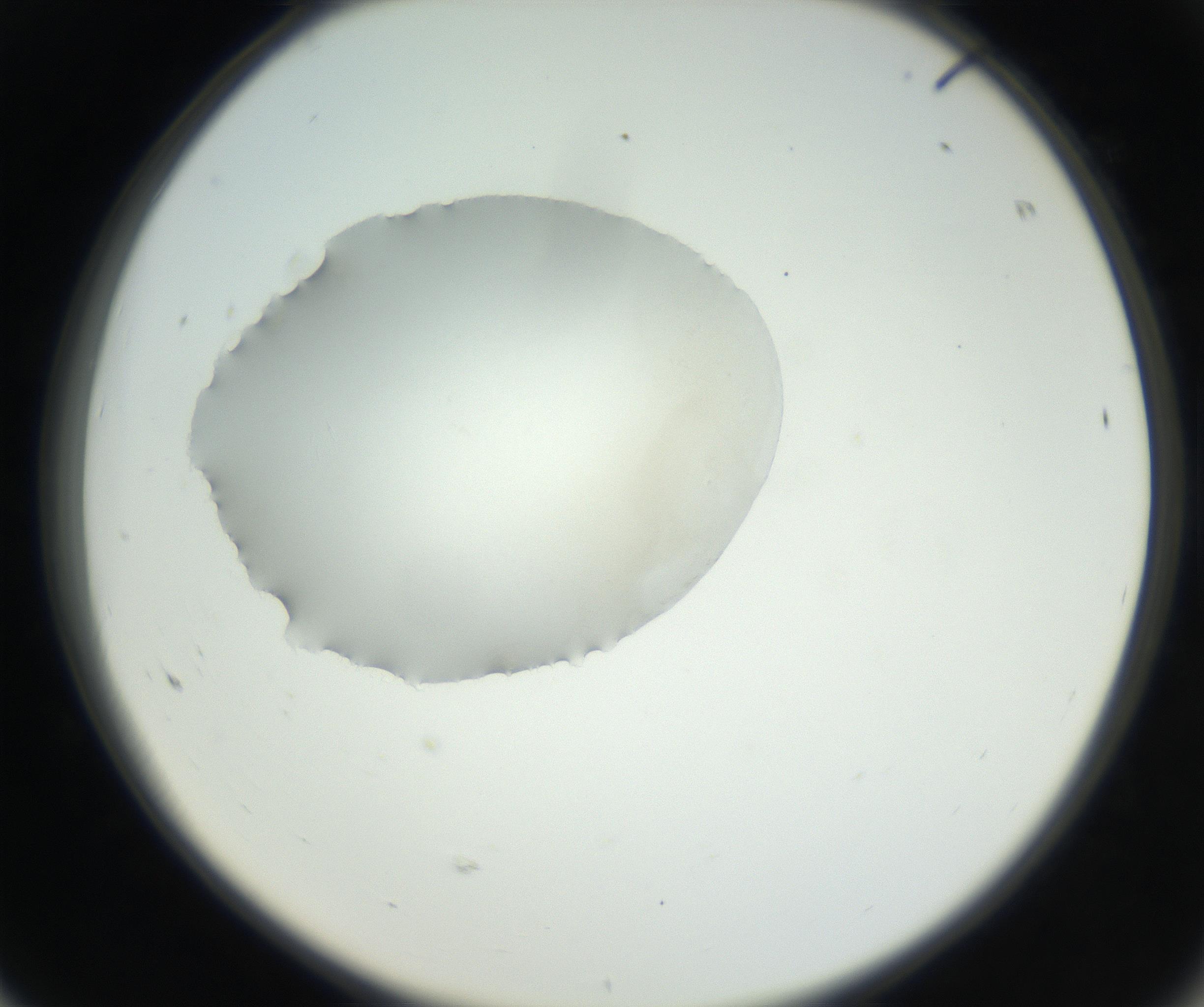 RI01_03_000_0212_Proj1_Clon1_MC_0000MC102538_012_160813_08_06_02_00_99_002_001_RAI.jpg