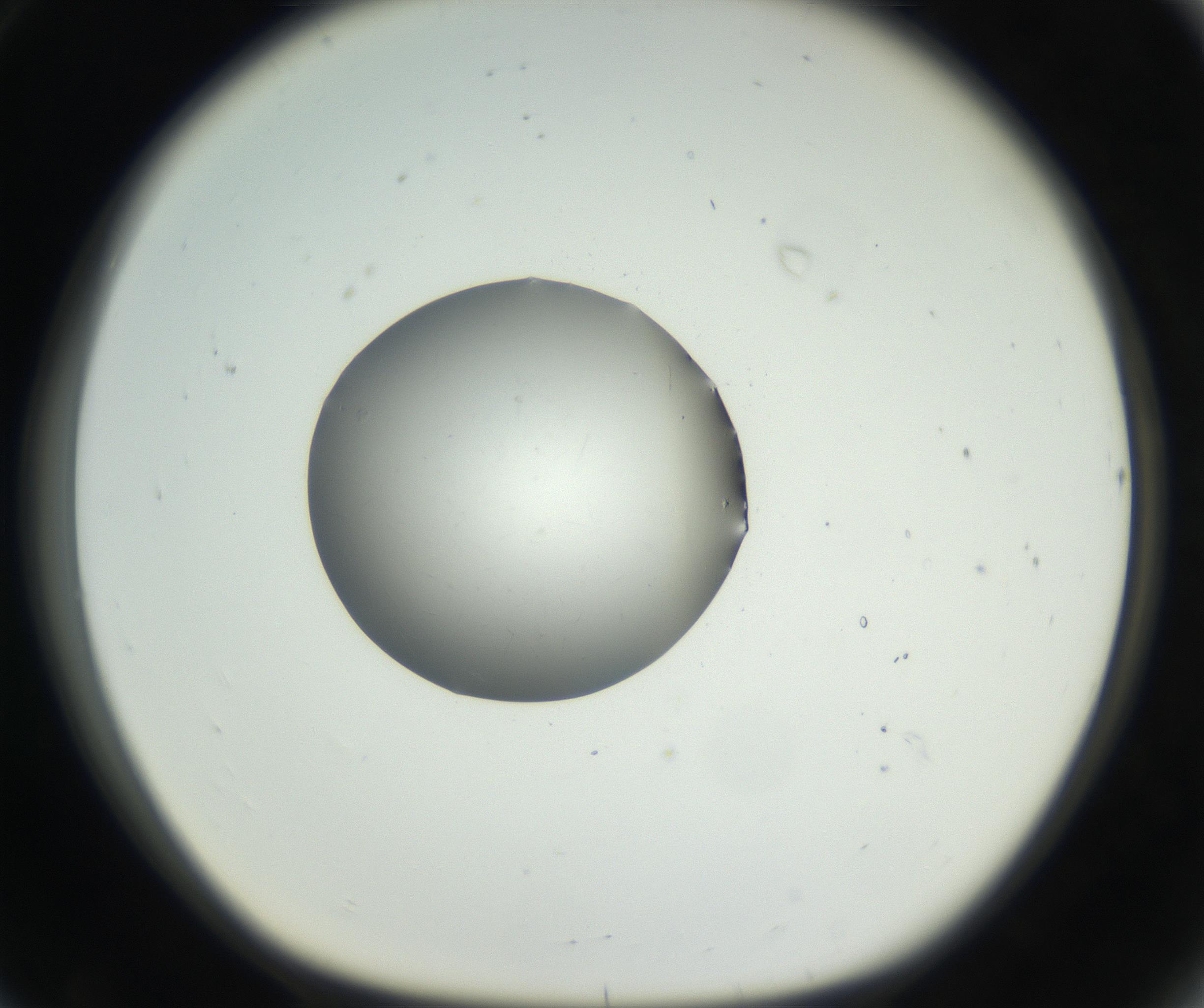 RI01_03_000_0212_Proj1_Clon1_MC_0000MC102538_012_160813_08_07_01_00_99_002_001_RAI.jpg