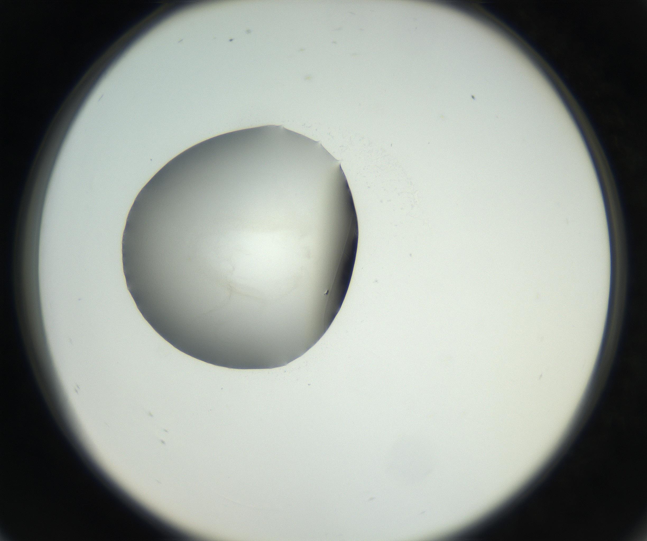 RI01_03_000_0212_Proj1_Clon1_MC_0000MC102538_012_160813_08_07_02_00_99_002_001_RAI.jpg
