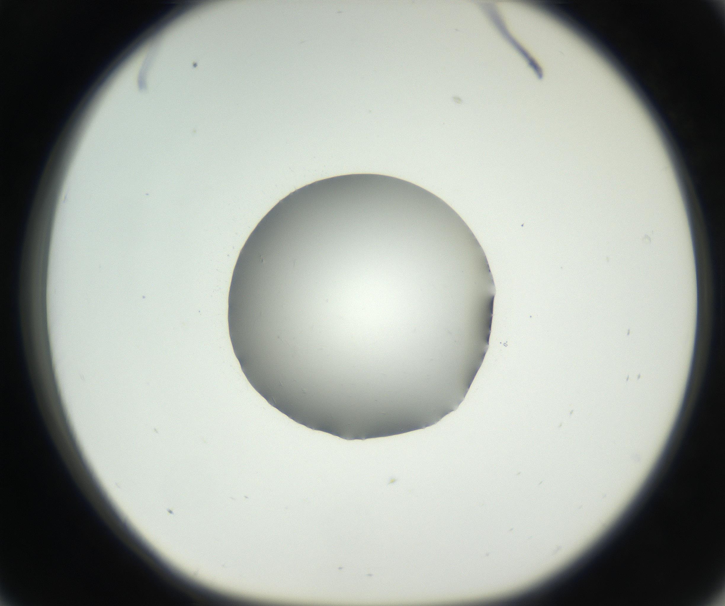 RI01_03_000_0212_Proj1_Clon1_MC_0000MC102538_012_160813_09_03_01_00_99_002_001_RAI.jpg
