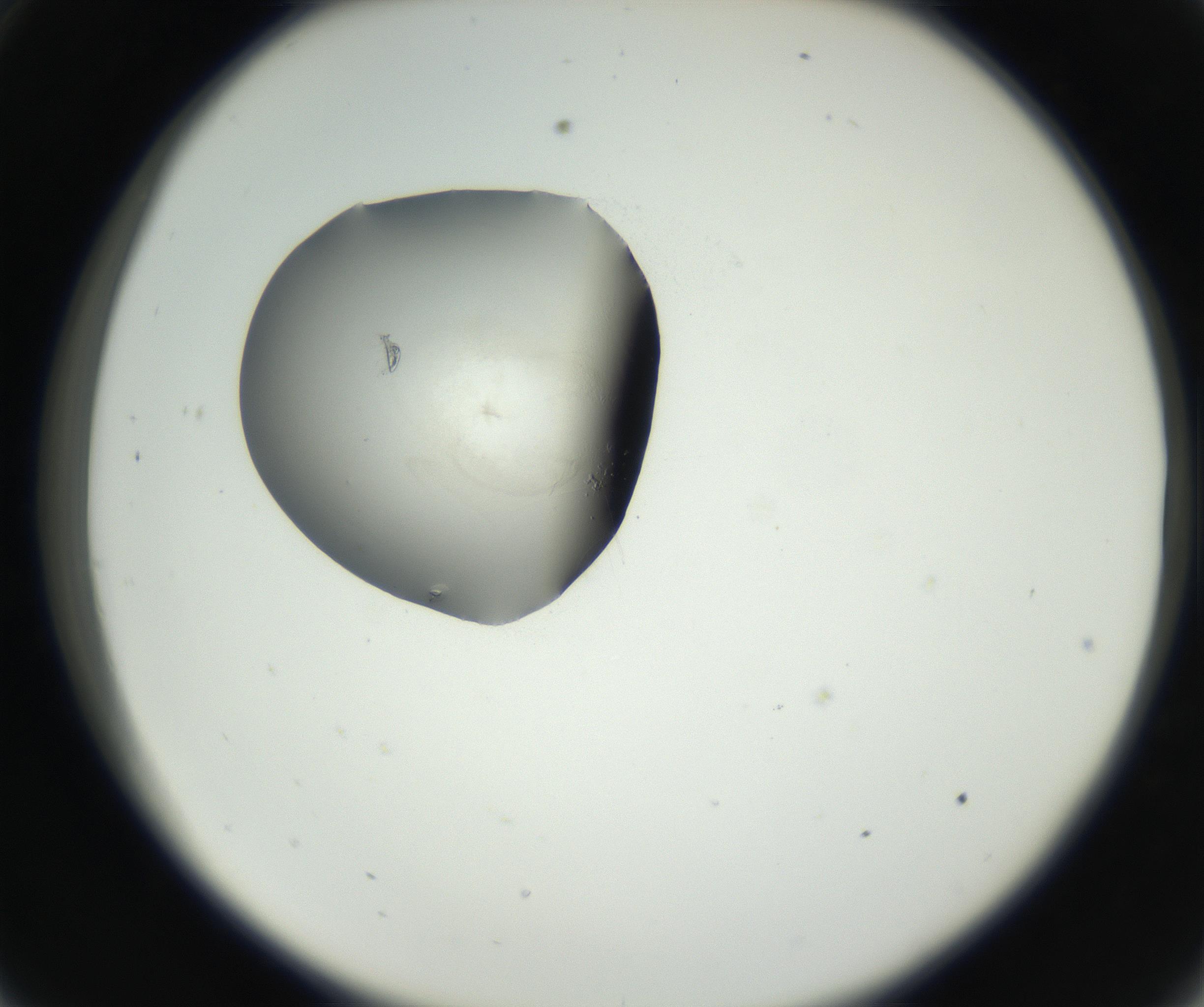 RI01_03_000_0212_Proj1_Clon1_MC_0000MC102538_012_160813_09_03_02_00_99_002_001_RAI.jpg
