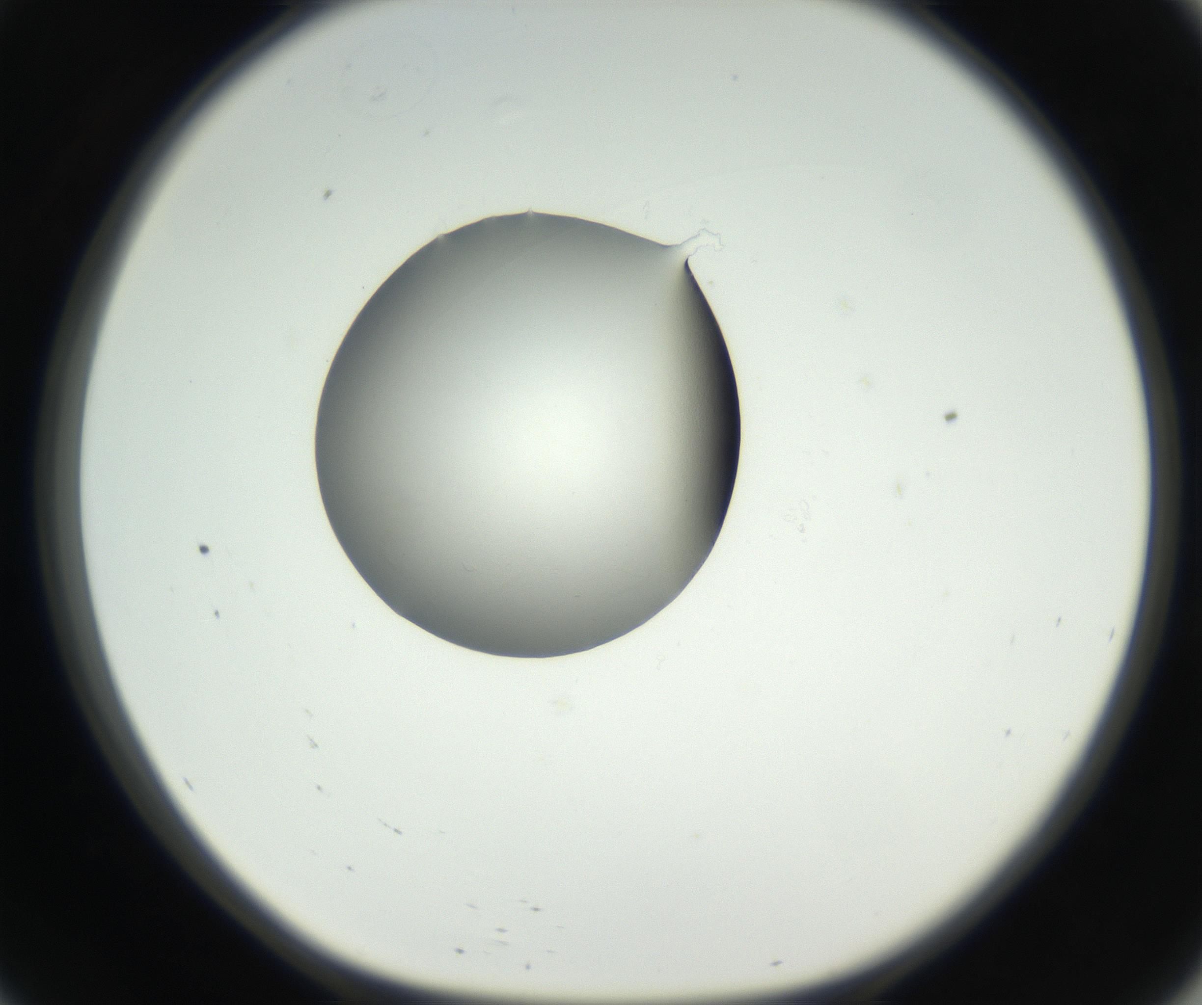 RI01_03_000_0212_Proj1_Clon1_MC_0000MC102538_012_160813_09_05_01_00_99_002_001_RAI.jpg