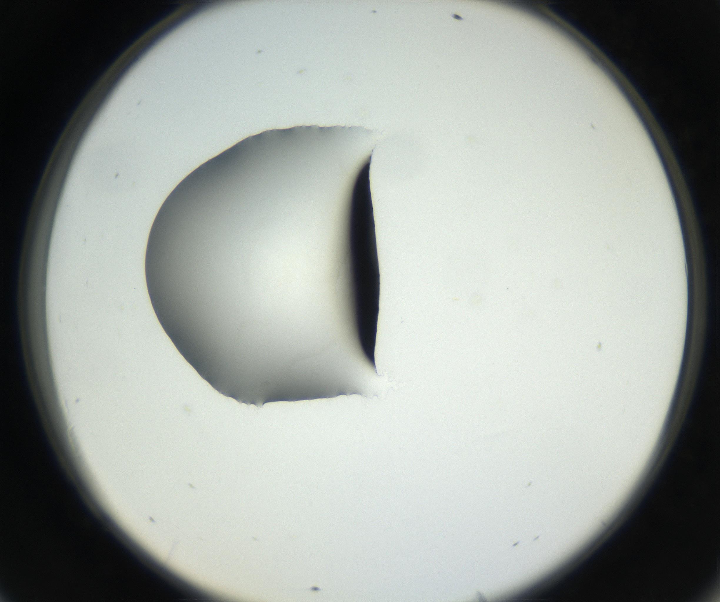 RI01_03_000_0212_Proj1_Clon1_MC_0000MC102538_012_160813_09_06_02_00_99_002_001_RAI.jpg