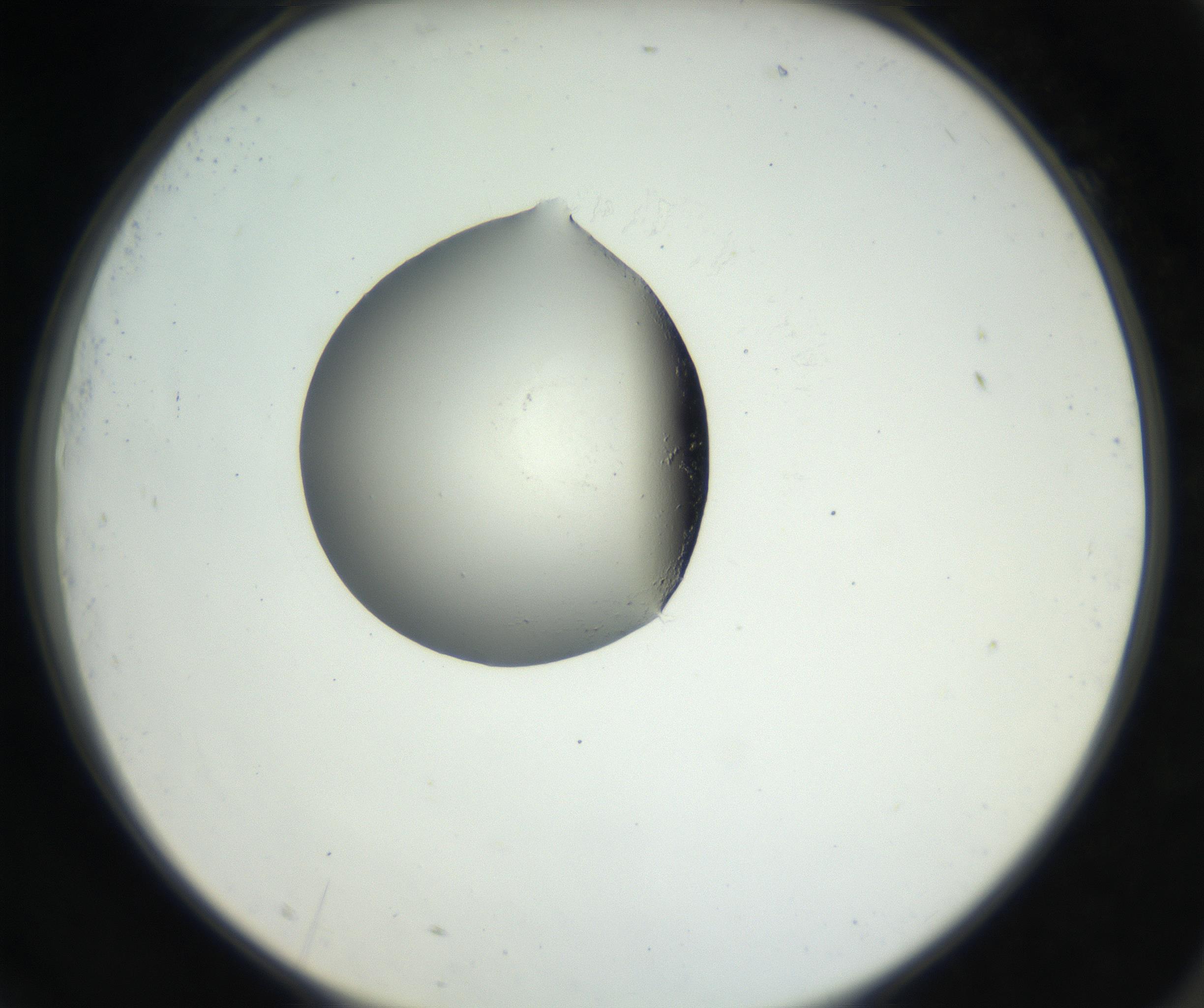 RI01_03_000_0212_Proj1_Clon1_MC_0000MC102538_012_160813_09_07_02_00_99_002_001_RAI.jpg