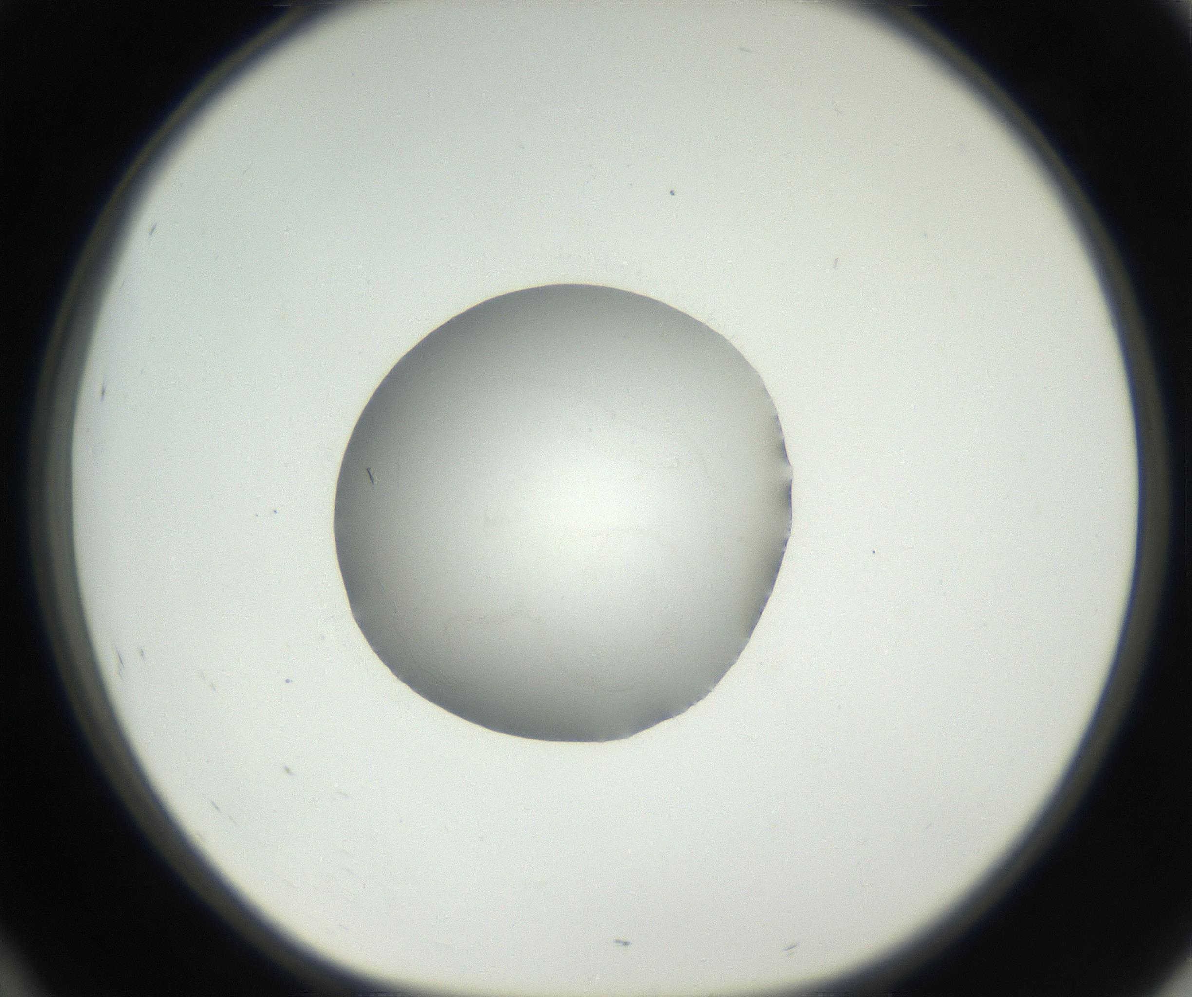 RI01_03_000_0212_Proj1_Clon1_MC_0000MC102538_012_160813_10_04_01_00_99_002_001_RAI.jpg