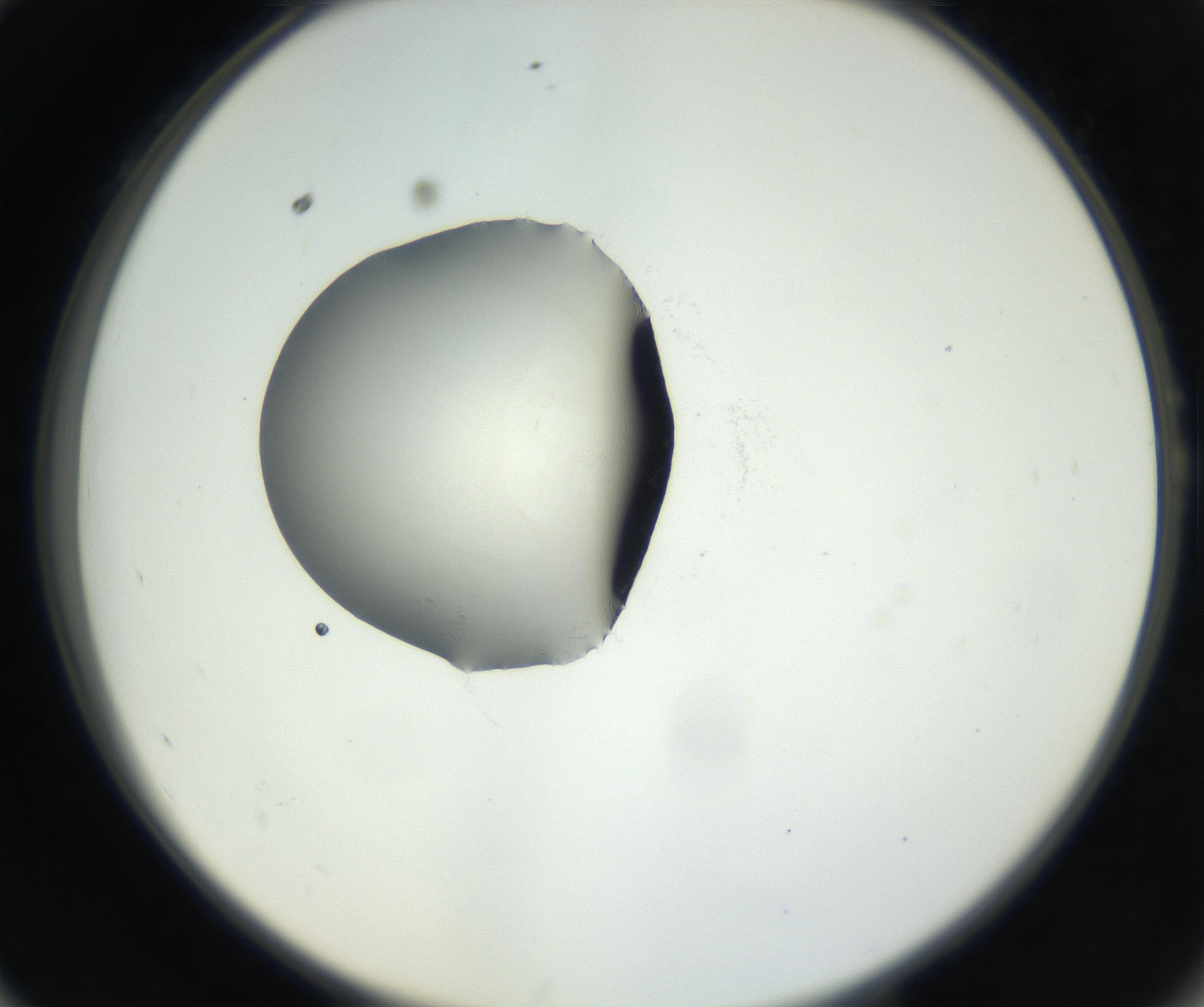 RI01_03_000_0212_Proj1_Clon1_MC_0000MC102538_012_160813_10_05_02_00_99_002_001_RAI.jpg