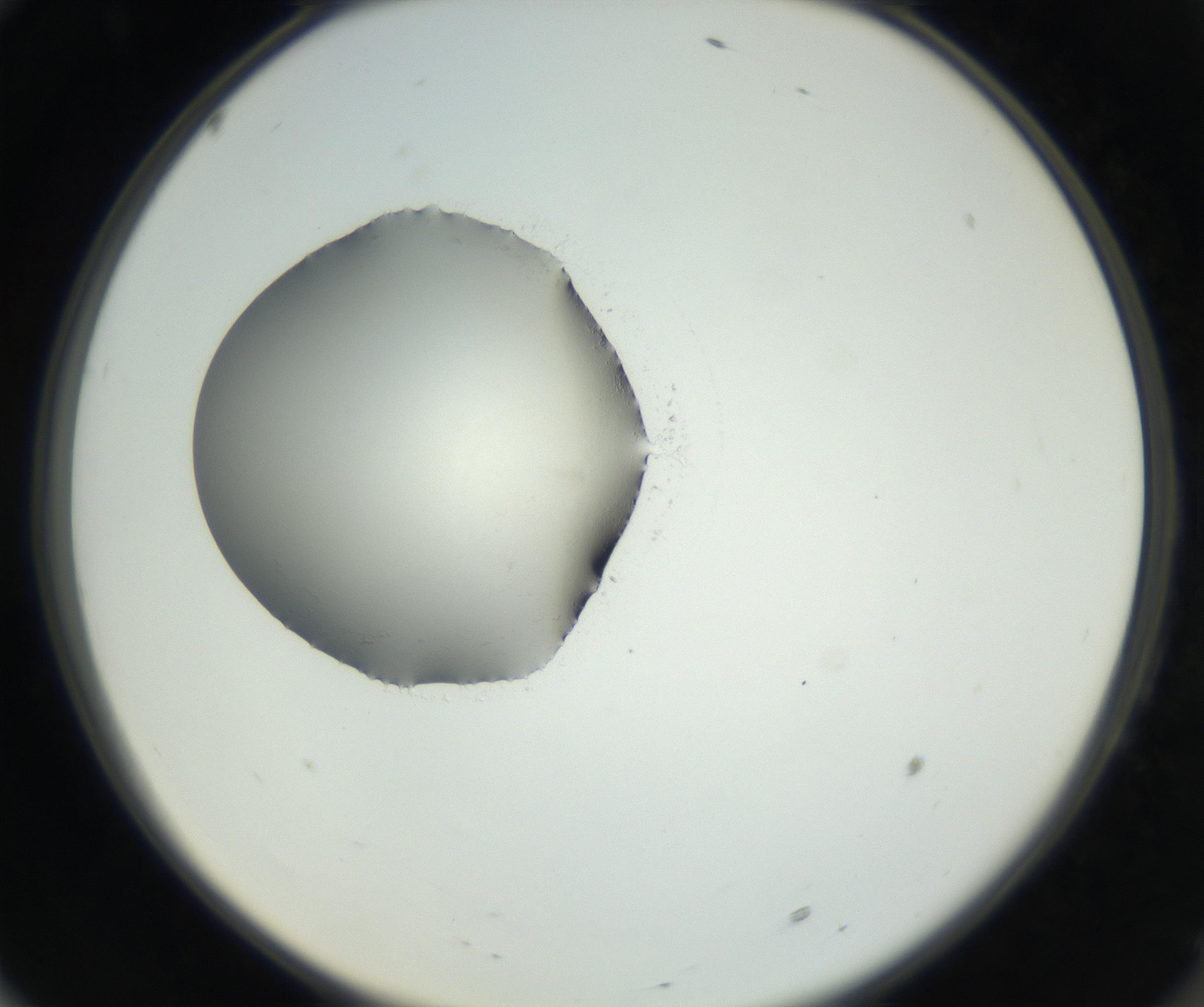 RI01_03_000_0212_Proj1_Clon1_MC_0000MC102538_012_160813_10_06_02_00_99_002_001_RAI.jpg