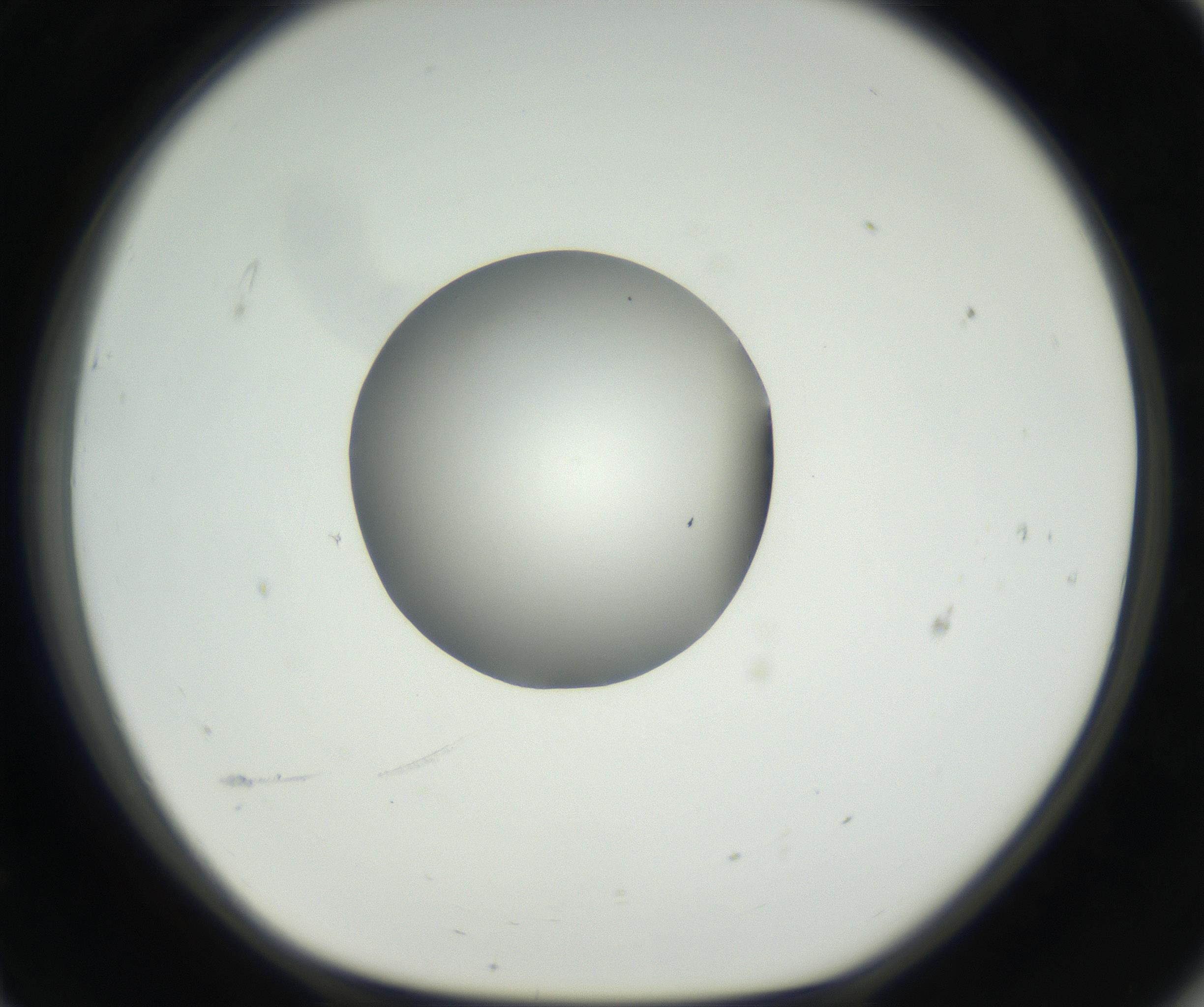 RI01_03_000_0212_Proj1_Clon1_MC_0000MC102538_012_160813_11_06_01_00_99_002_001_RAI.jpg