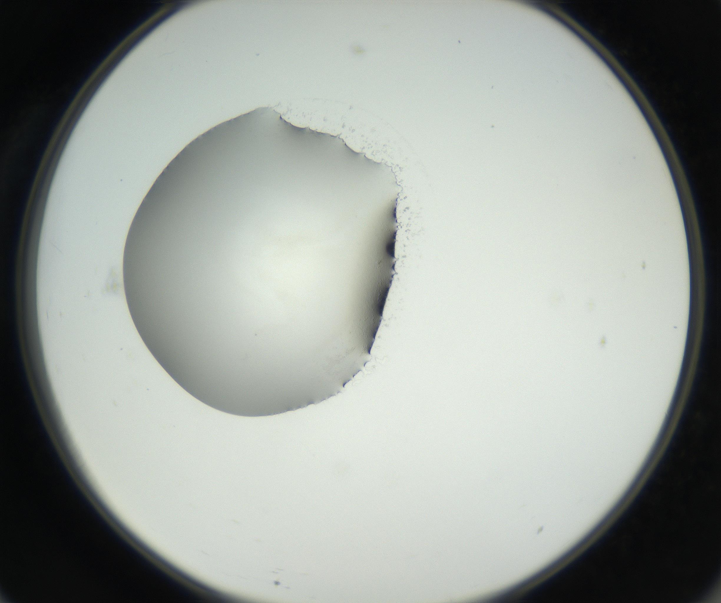 RI01_03_000_0212_Proj1_Clon1_MC_0000MC102538_012_160813_11_06_02_00_99_002_001_RAI.jpg