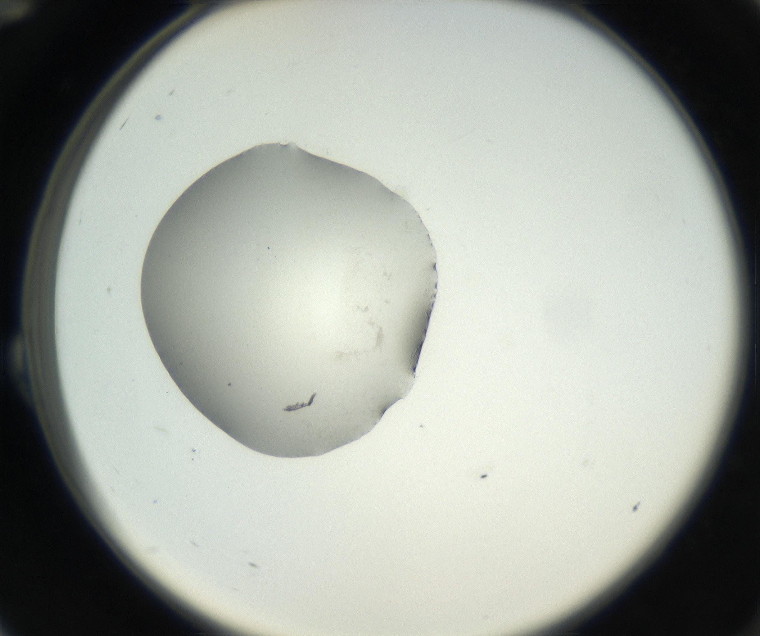 RI01_03_000_0212_Proj1_Clon1_MC_0000MC102538_012_160813_12_02_02_00_99_002_001_RAI.jpg