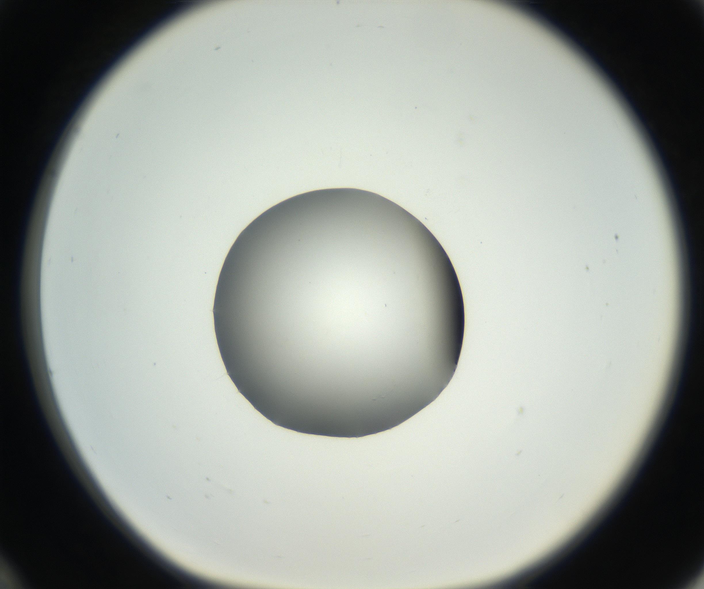 RI01_03_000_0212_Proj1_Clon1_MC_0000MC102538_012_160813_12_03_01_00_99_002_001_RAI.jpg
